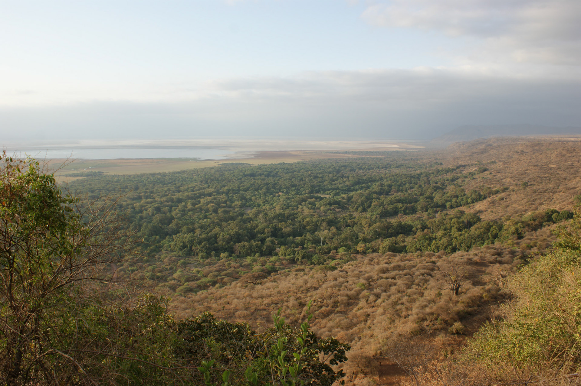 1.10.2009 TANZANIE - Masai Mara