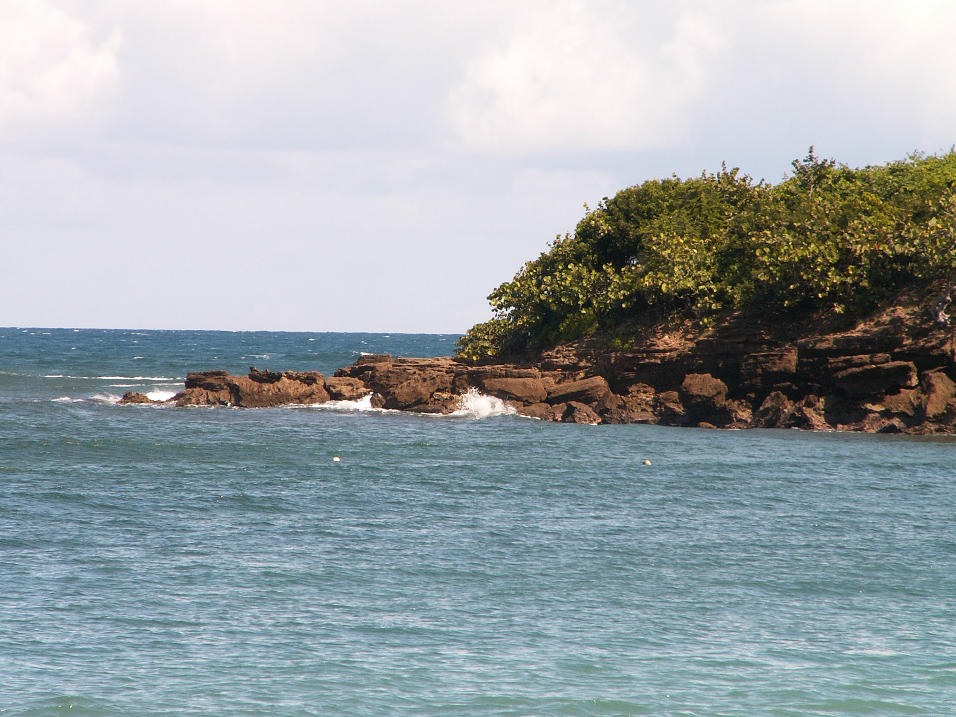 KONICA MINOLTA DIGITAL CAMERA