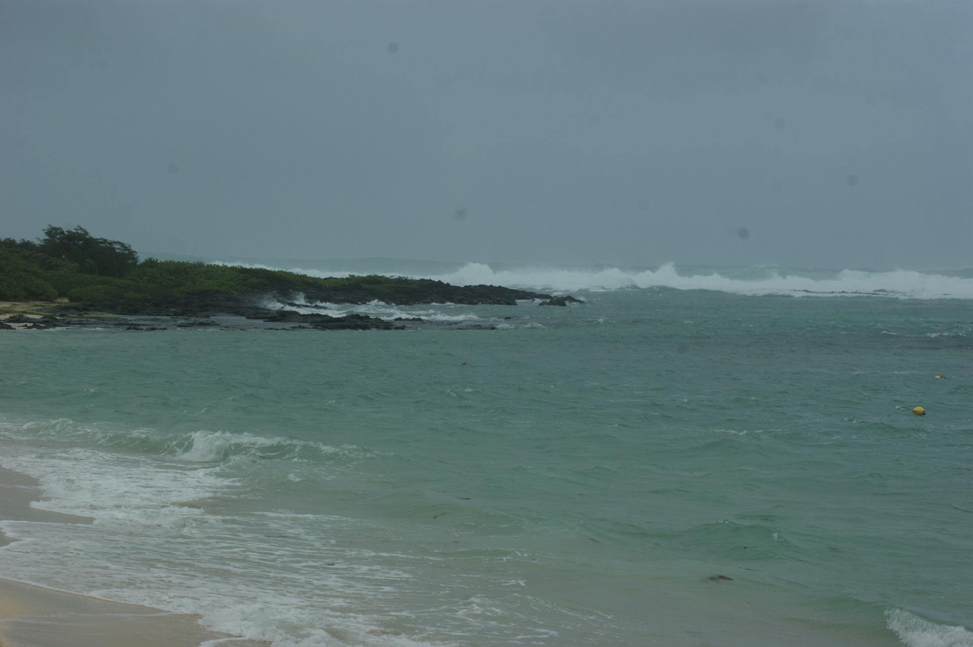 SONY DSC