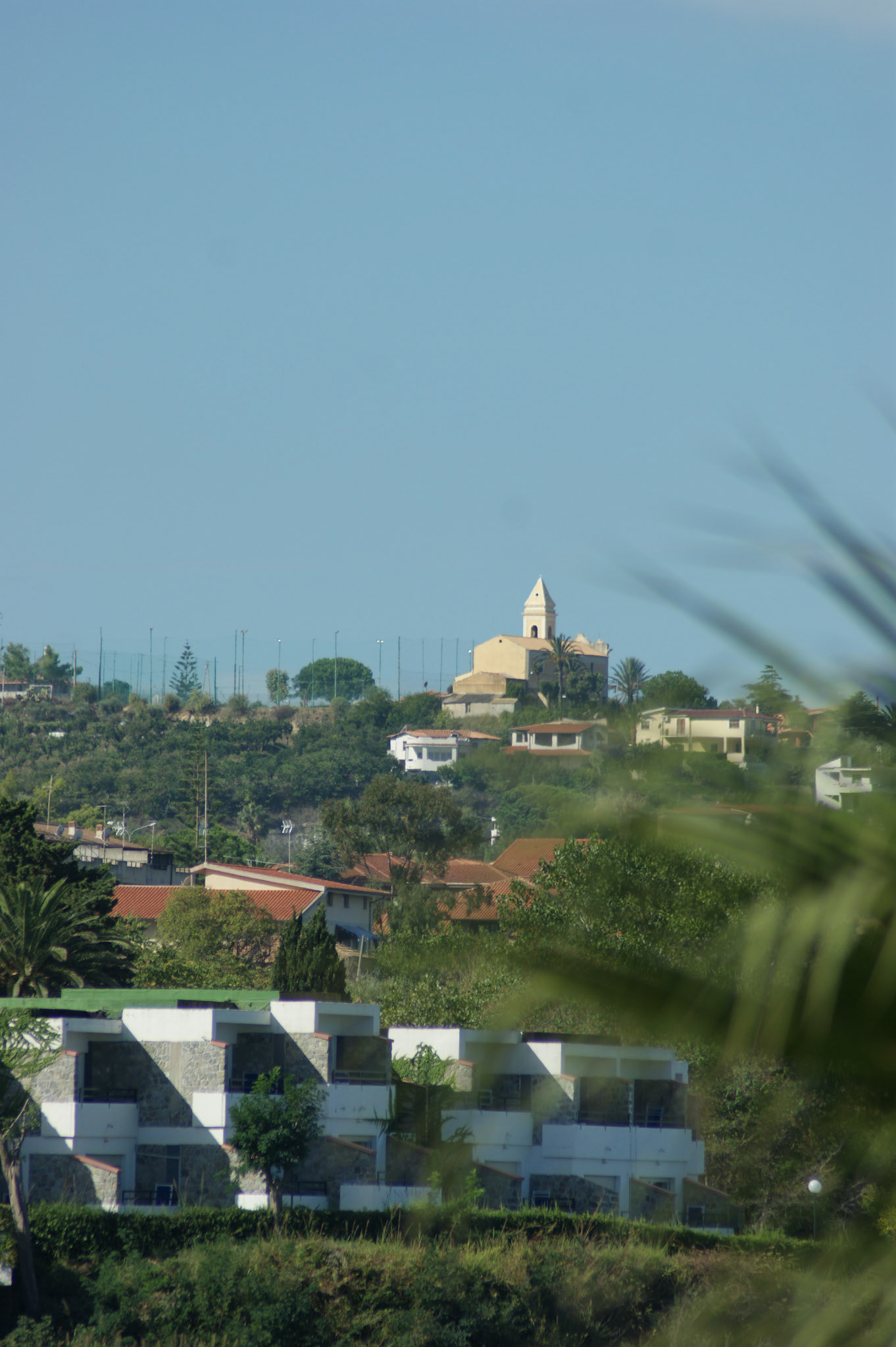 SONY DSC