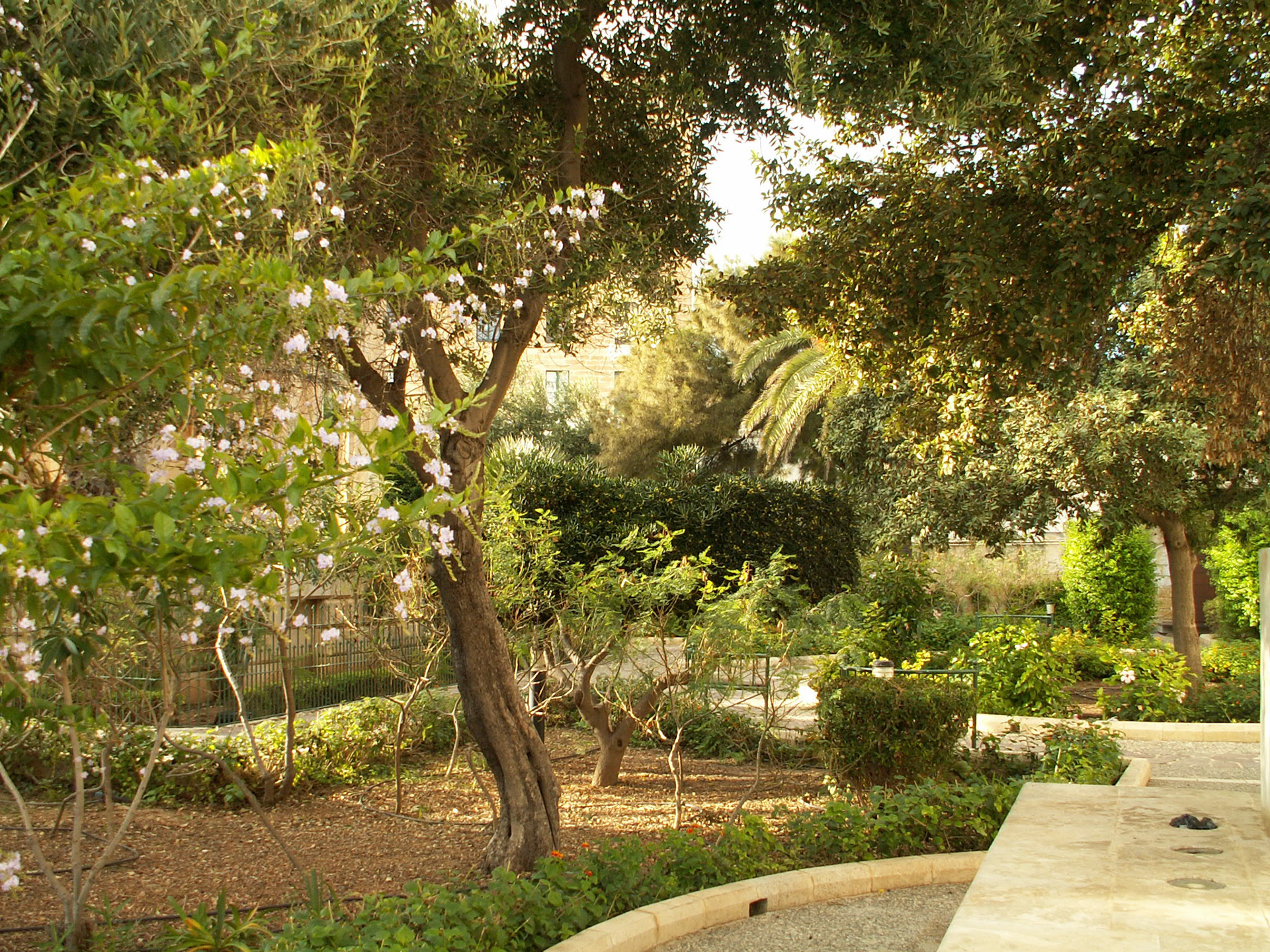 KONICA MINOLTA DIGITAL CAMERA