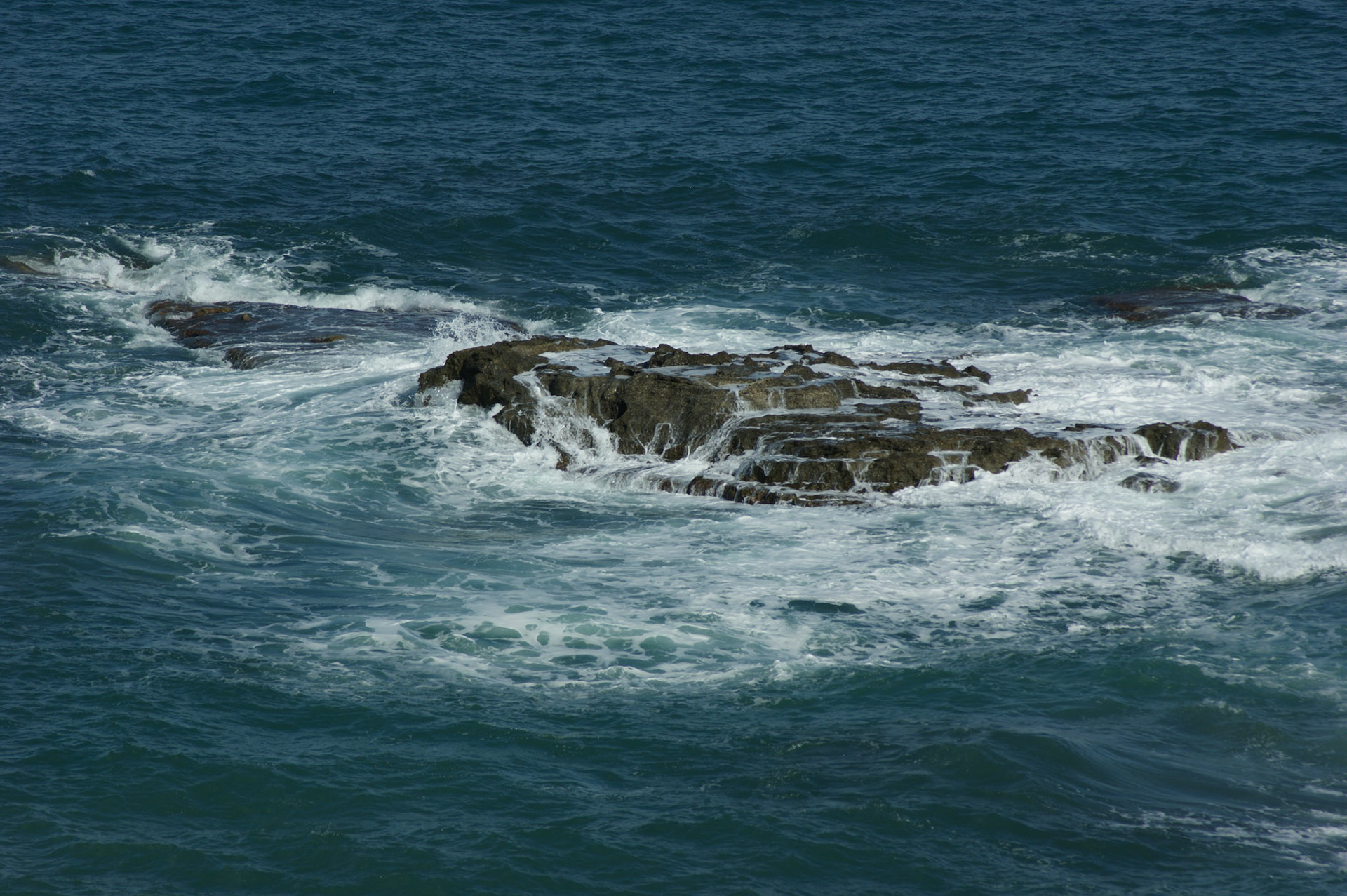 SONY DSC