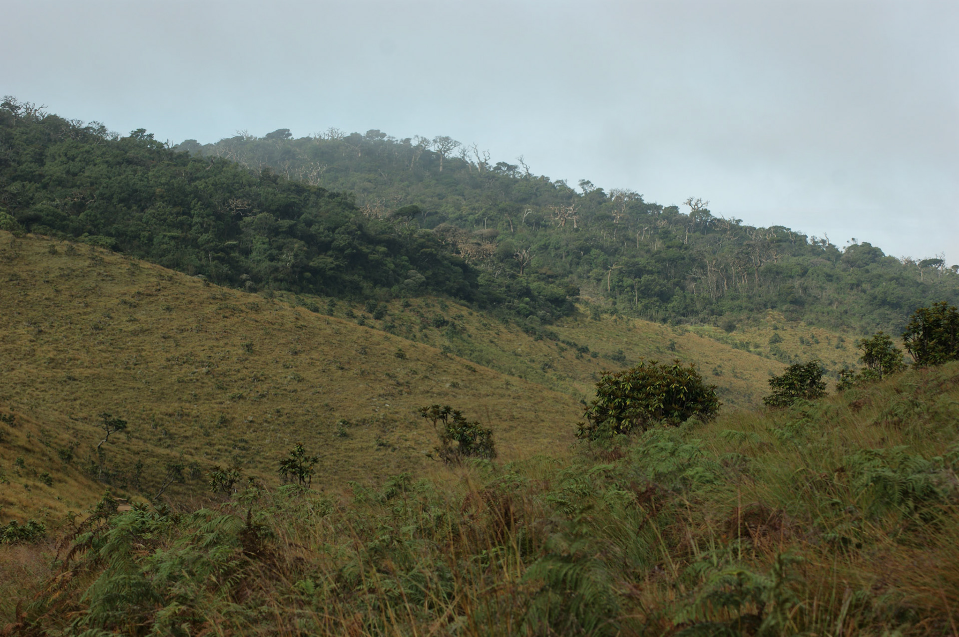 7.9.11 HORTONSKÉ PLÁNĚ - Konec světa