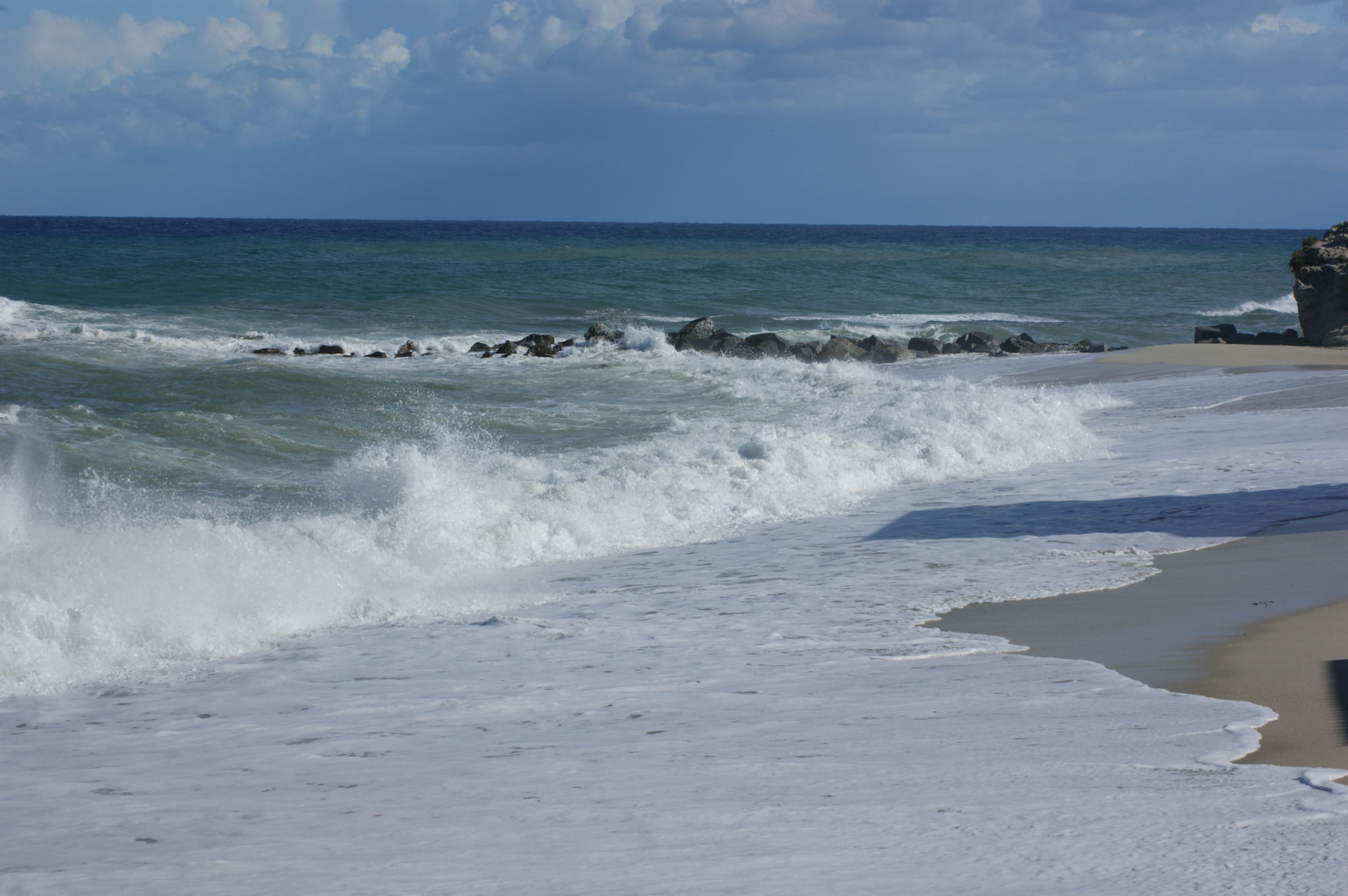 SONY DSC