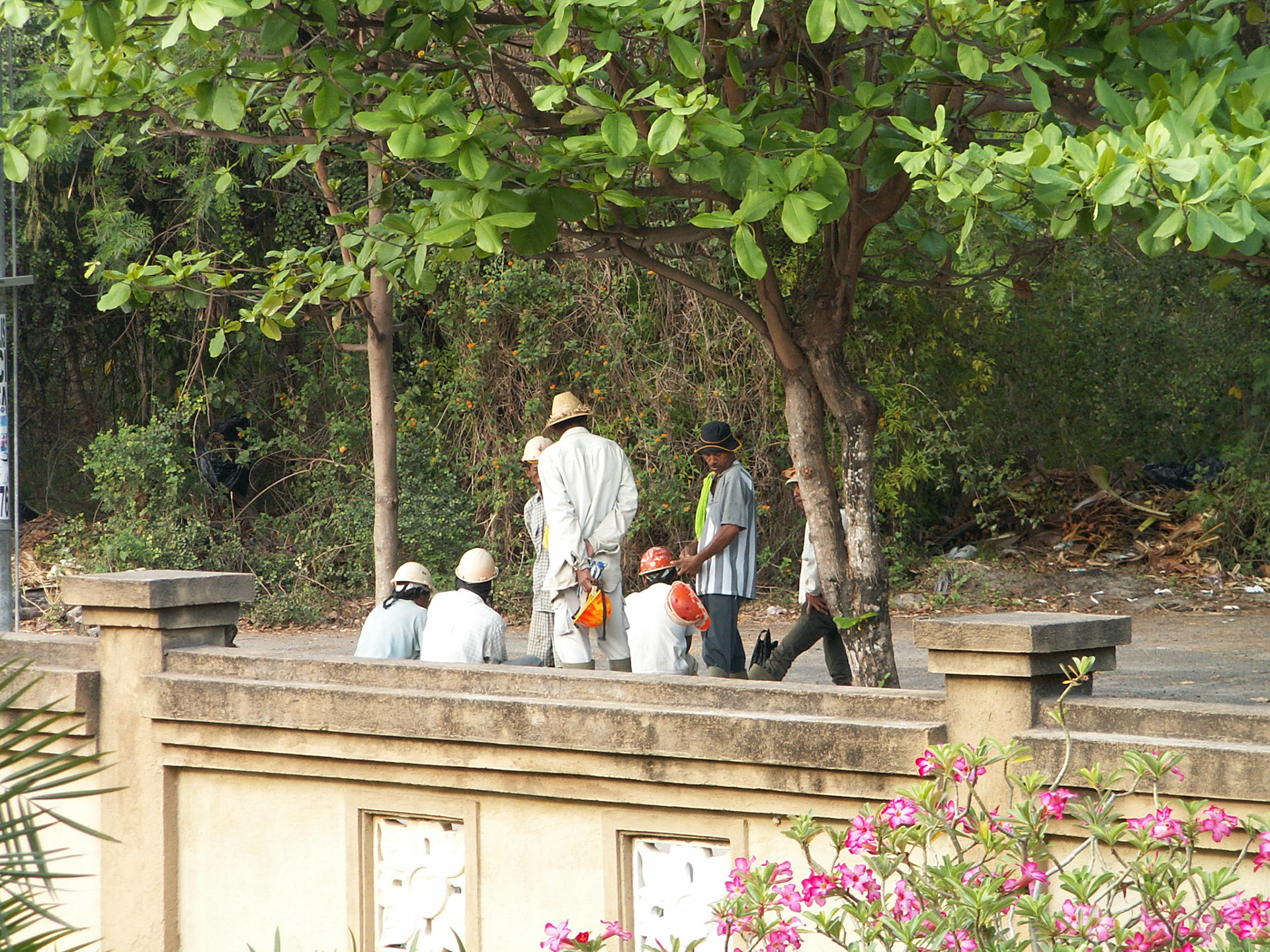 KONICA MINOLTA DIGITAL CAMERA