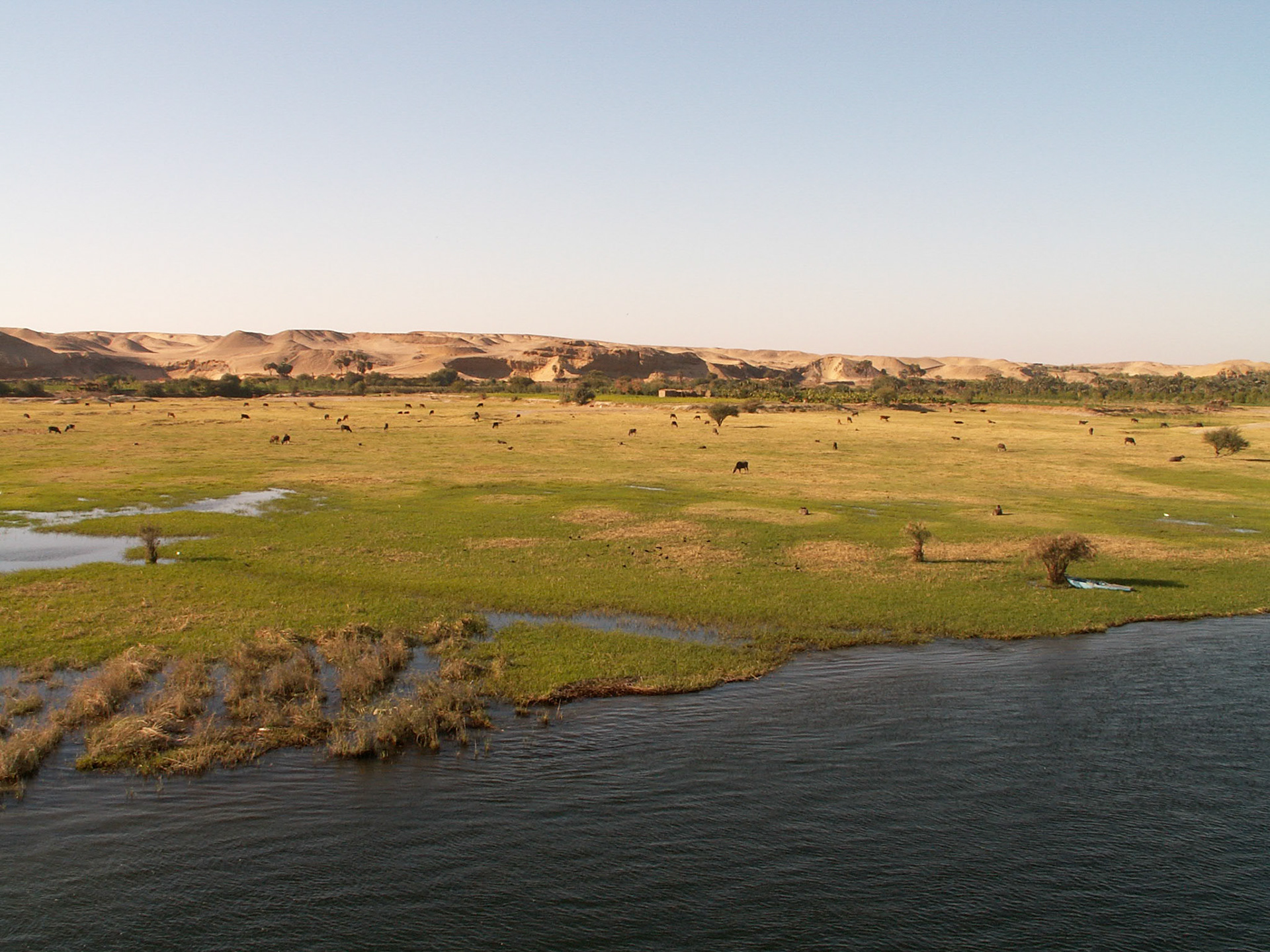 KONICA MINOLTA DIGITAL CAMERA