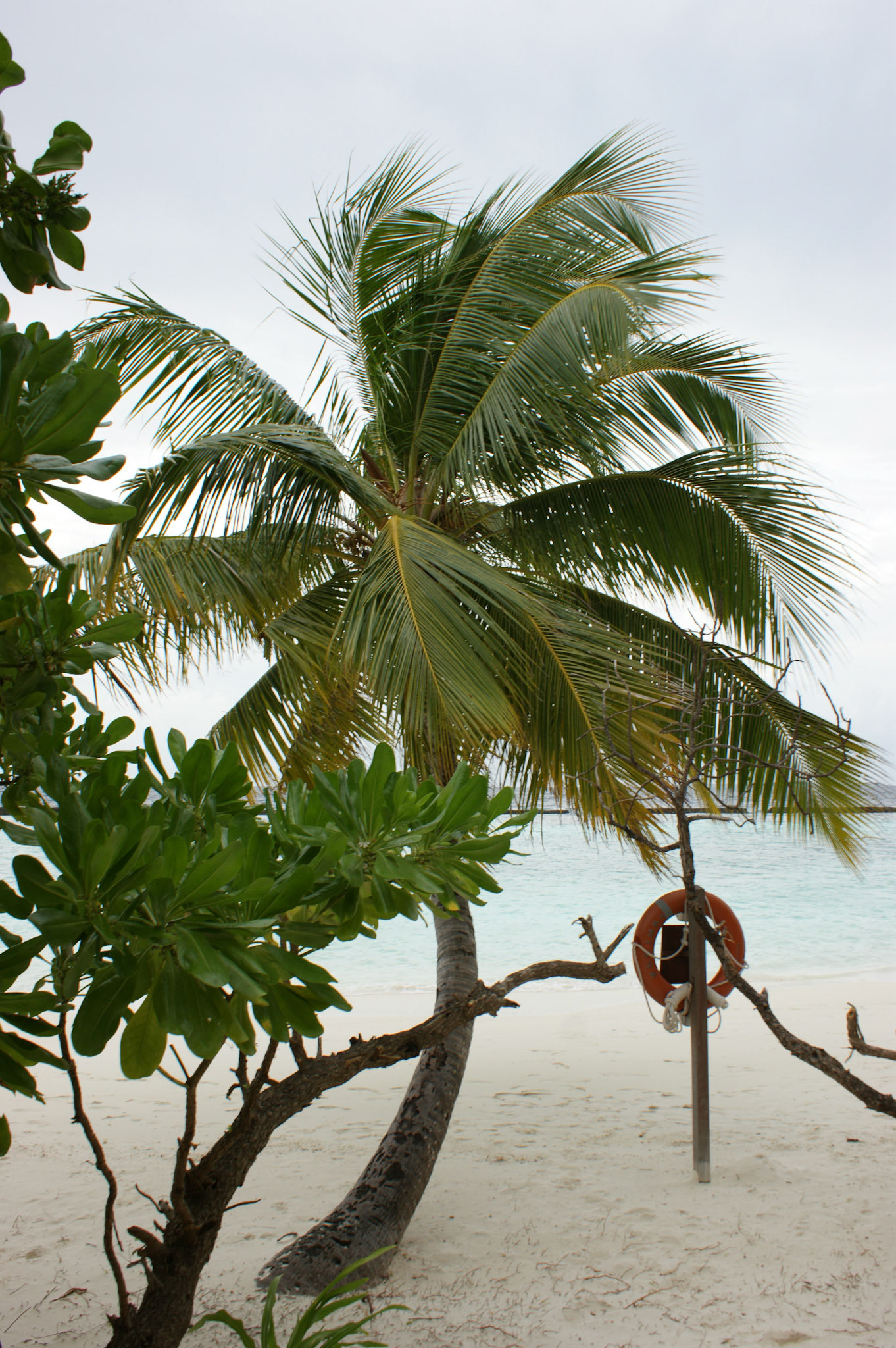 8-14.9.11 MALEDIVY Kurumba hotel