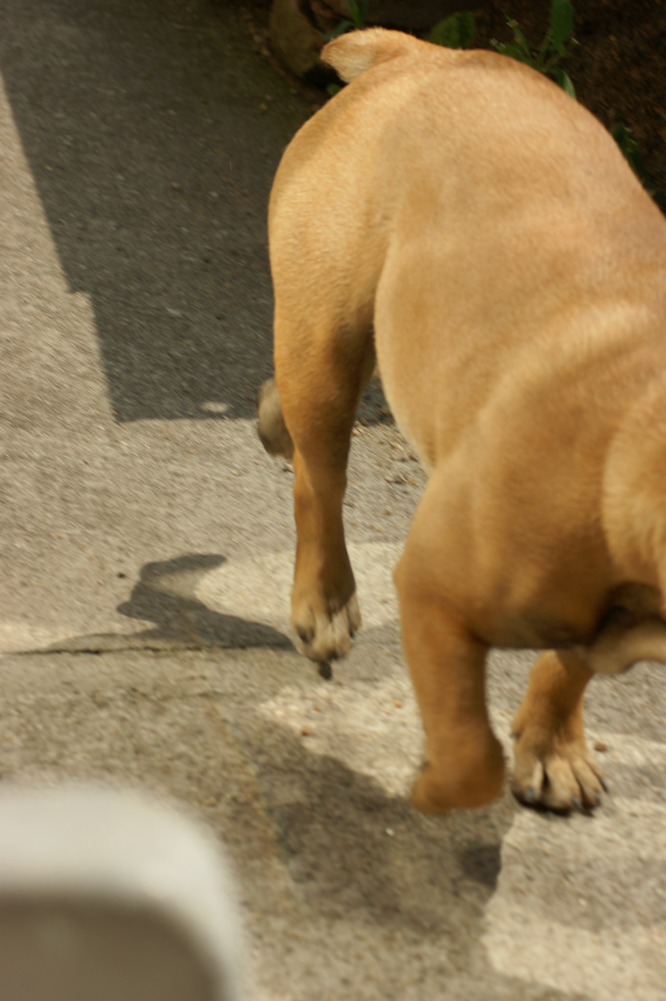 SONY DSC