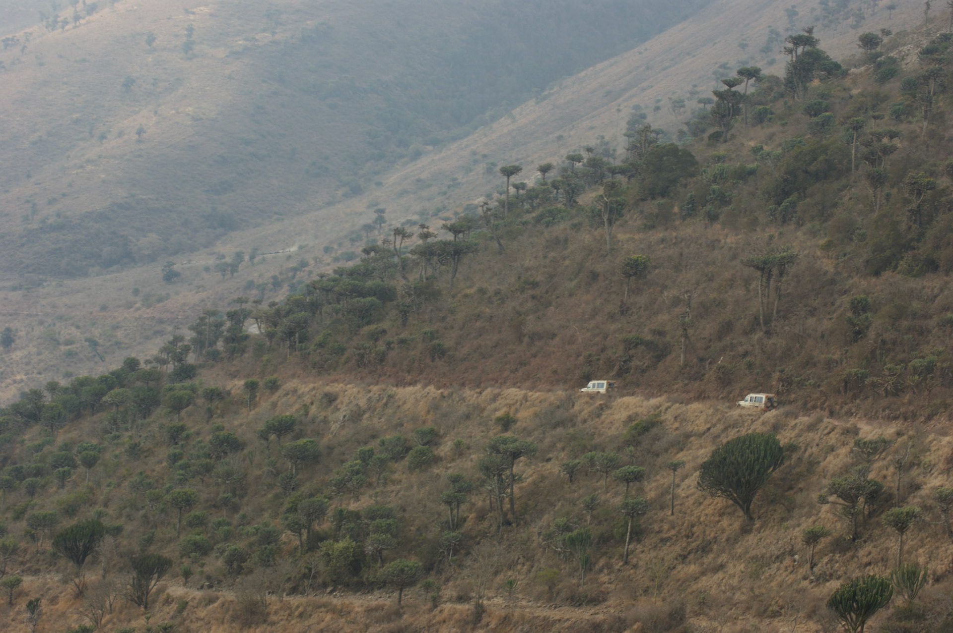 3.10.2009 TANZANIE - Ngorongoro NP