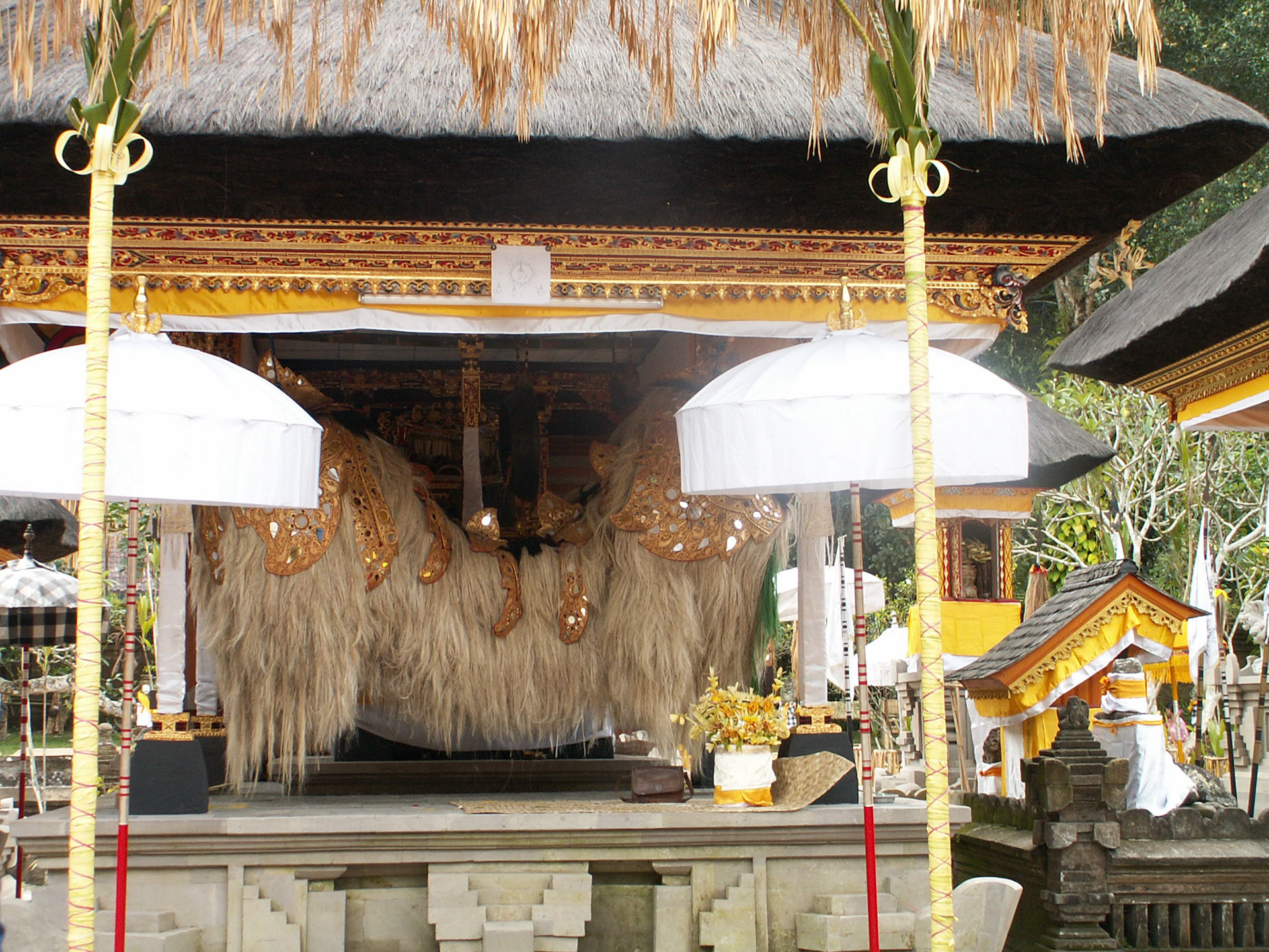 KONICA MINOLTA DIGITAL CAMERA