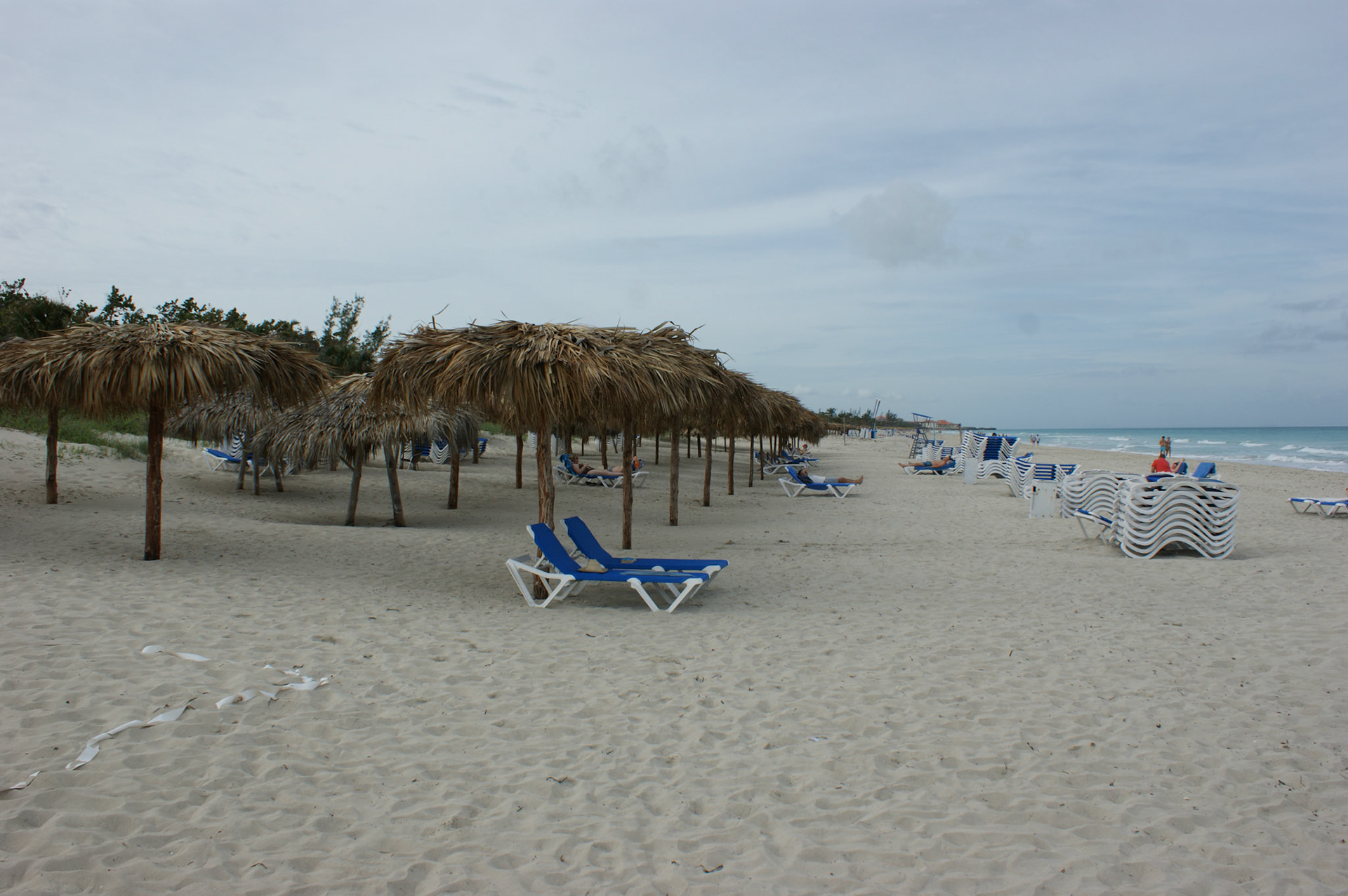 SONY DSC