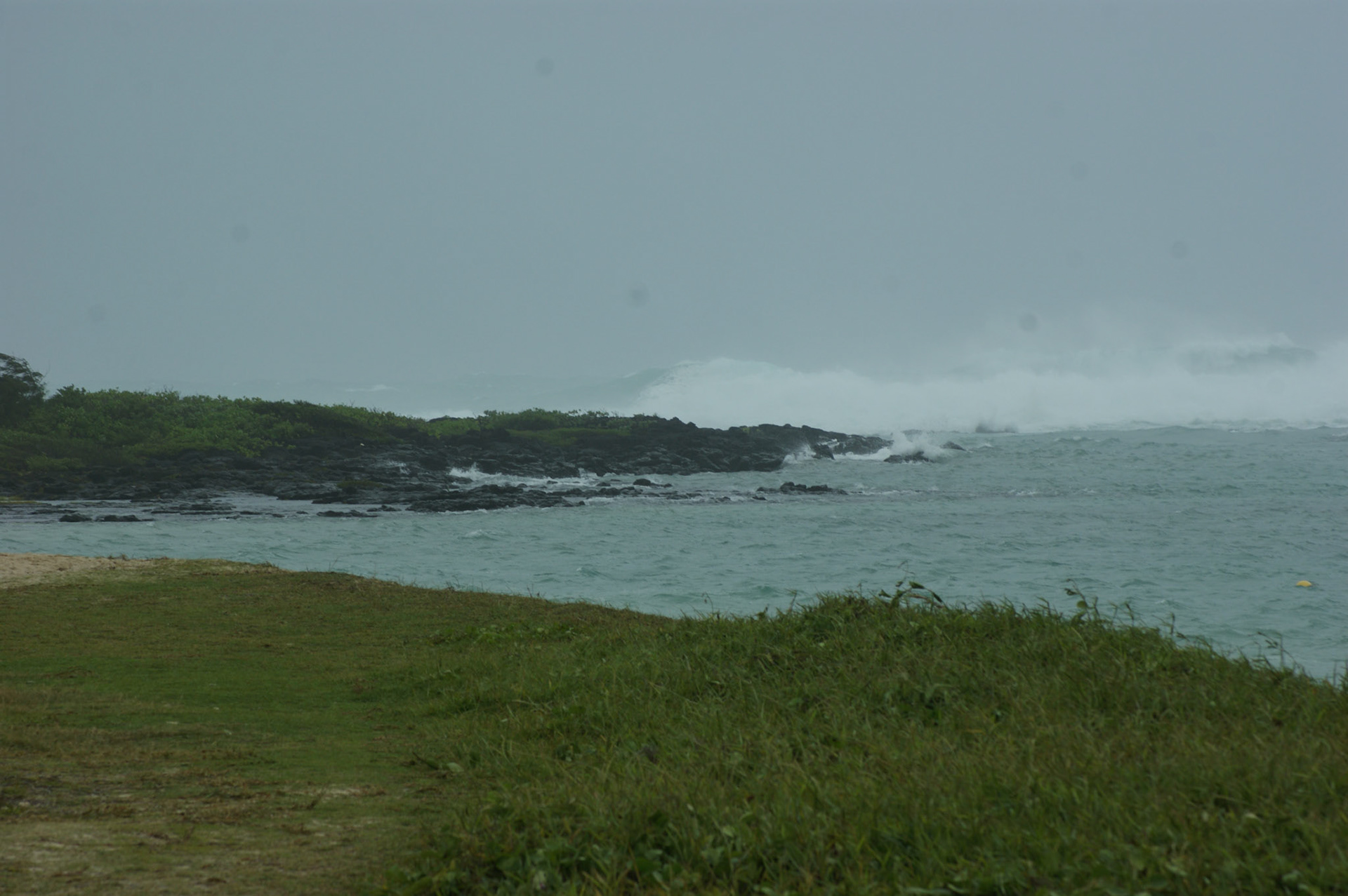 SONY DSC