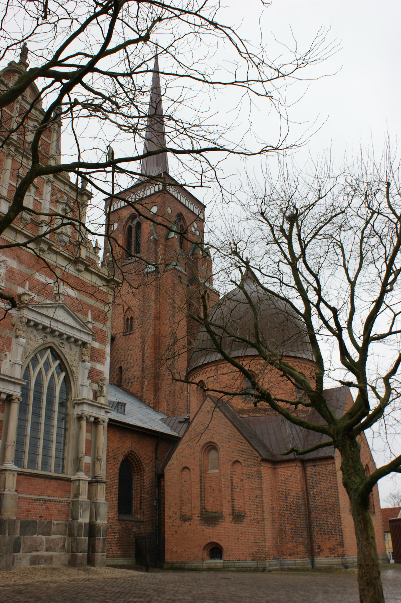 SONY DSC