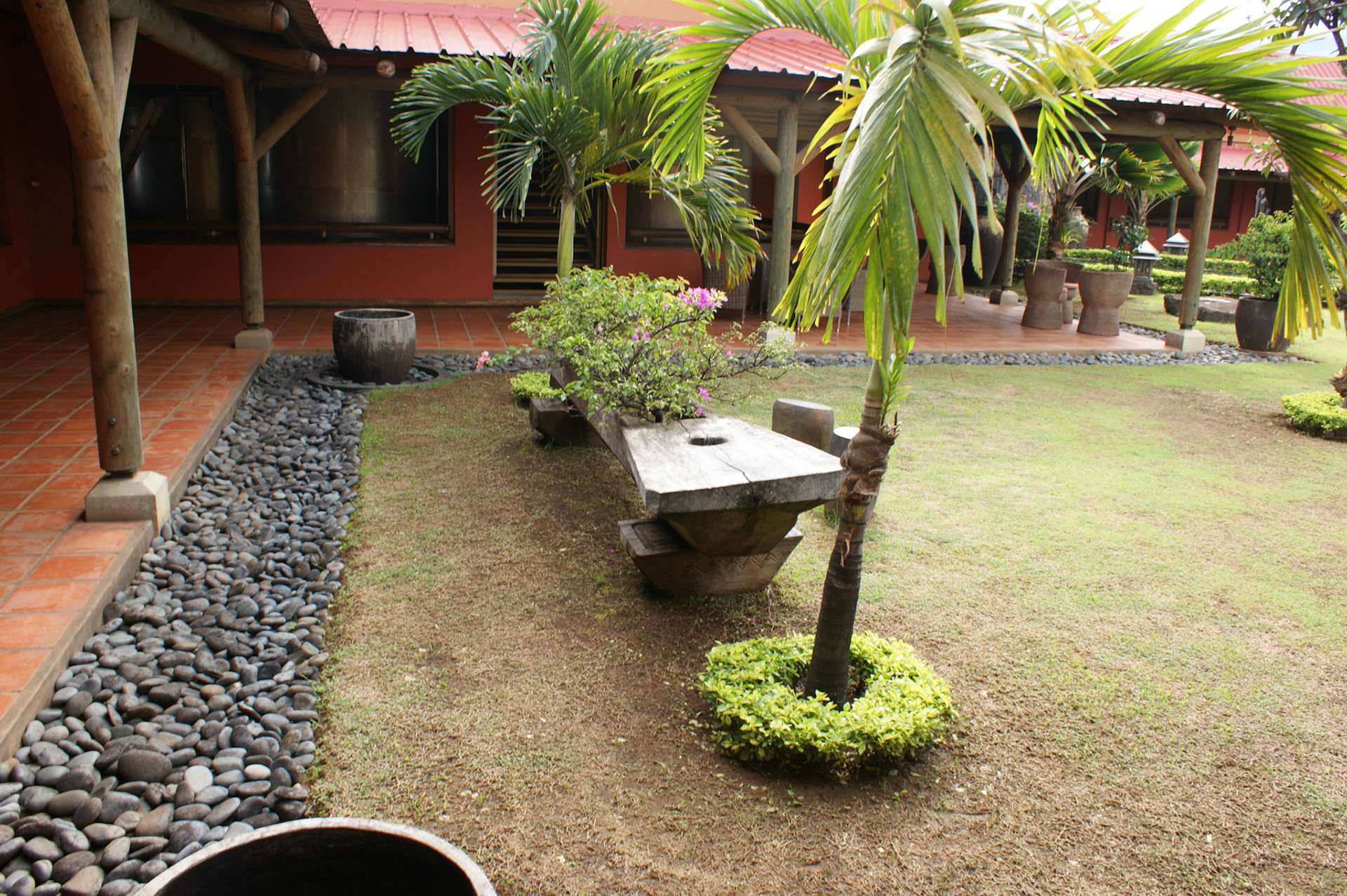SONY DSC