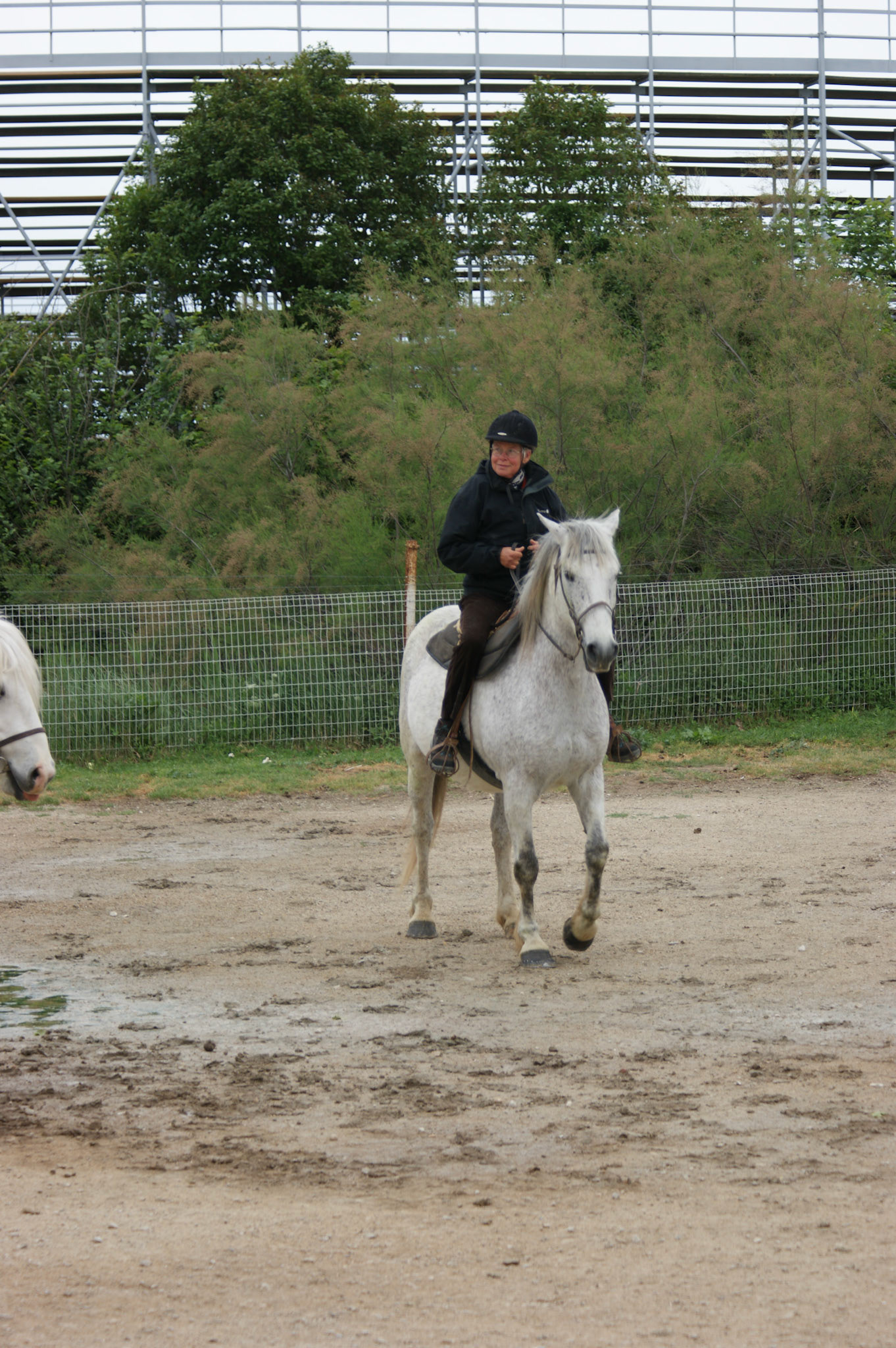 SONY DSC