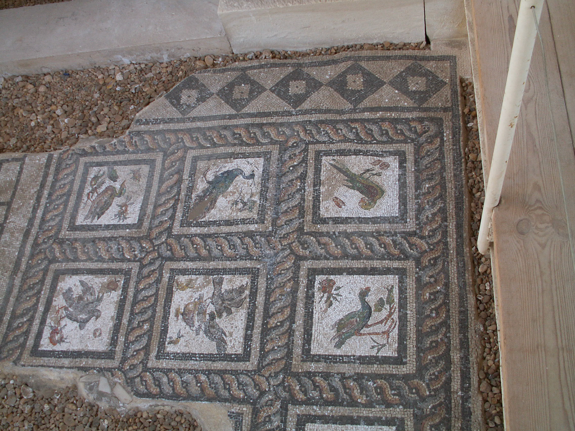 KONICA MINOLTA DIGITAL CAMERA