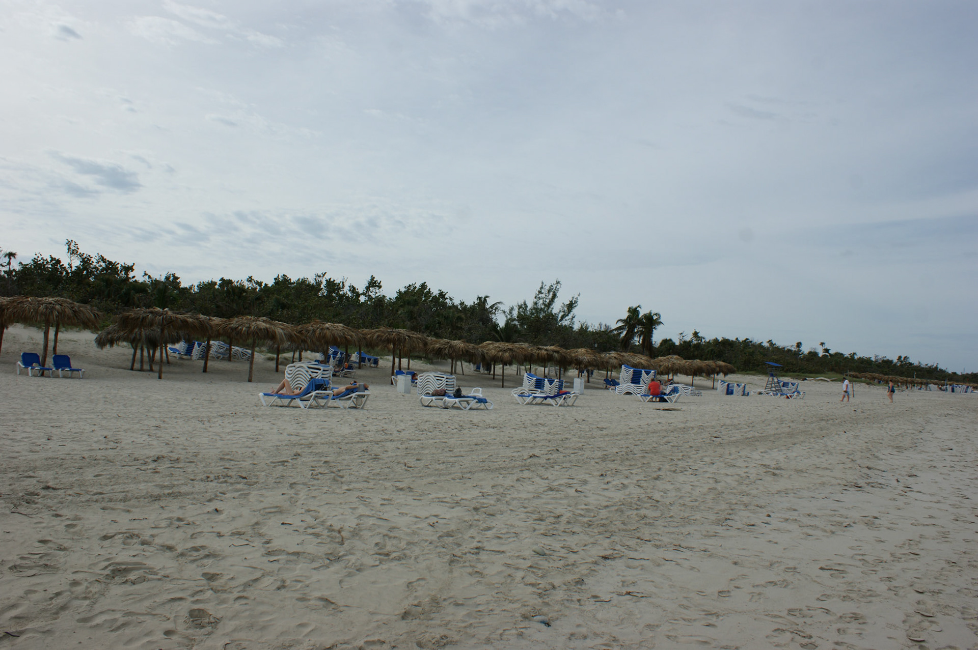 SONY DSC
