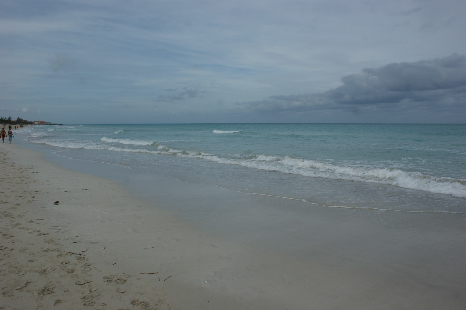 SONY DSC