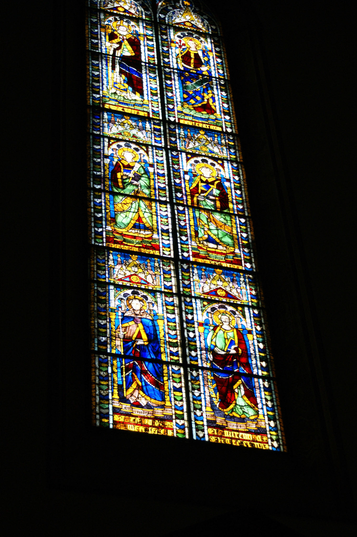 SONY DSC