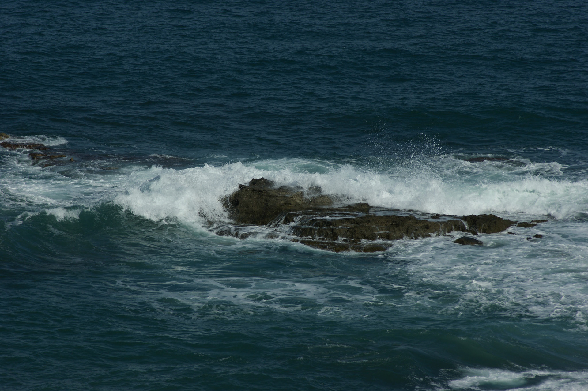 SONY DSC