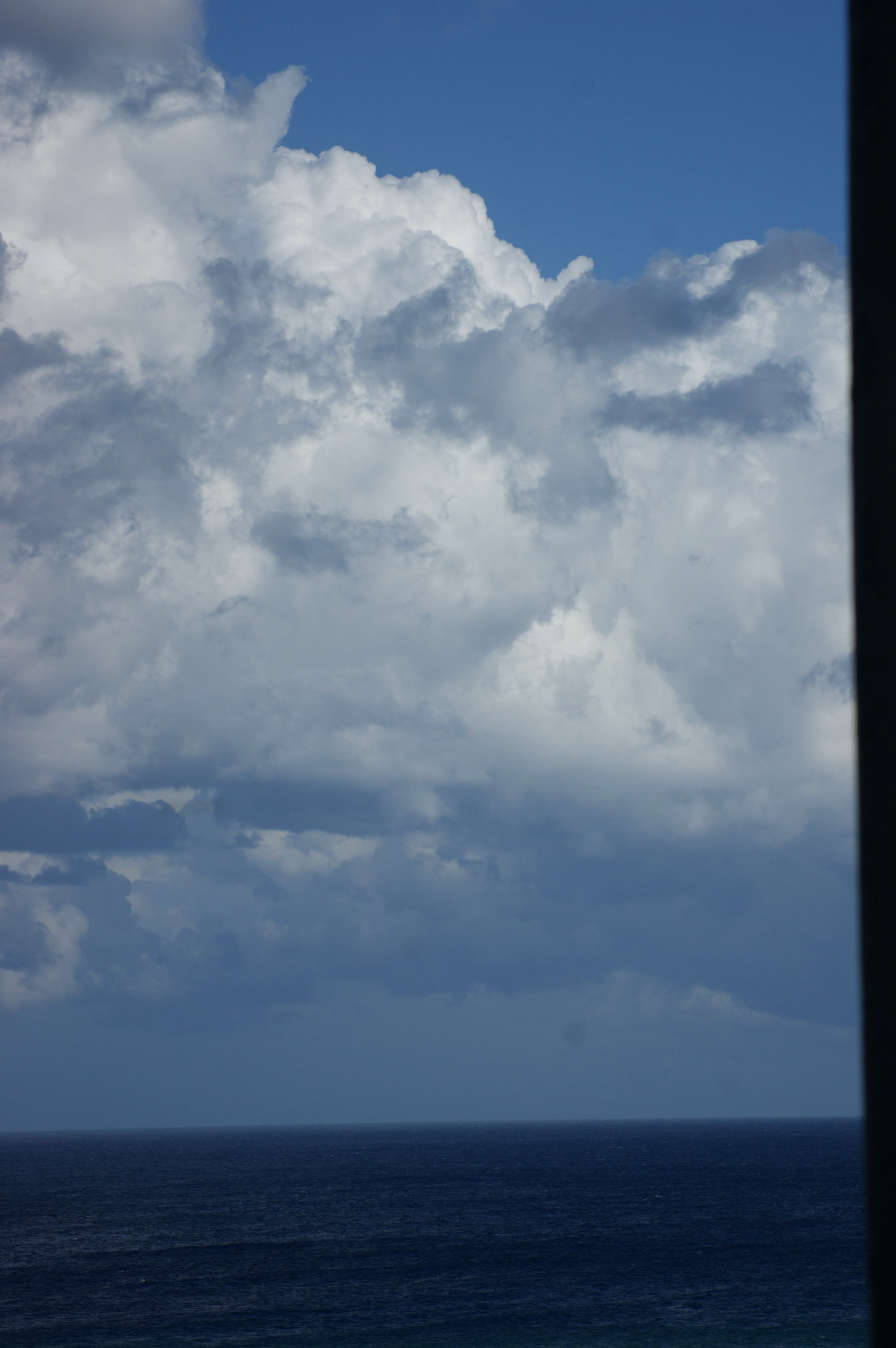 SONY DSC
