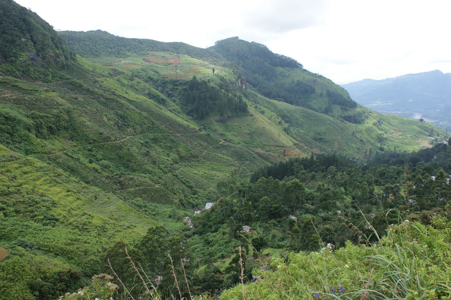 7.9.11 návrat do COLOMBA
