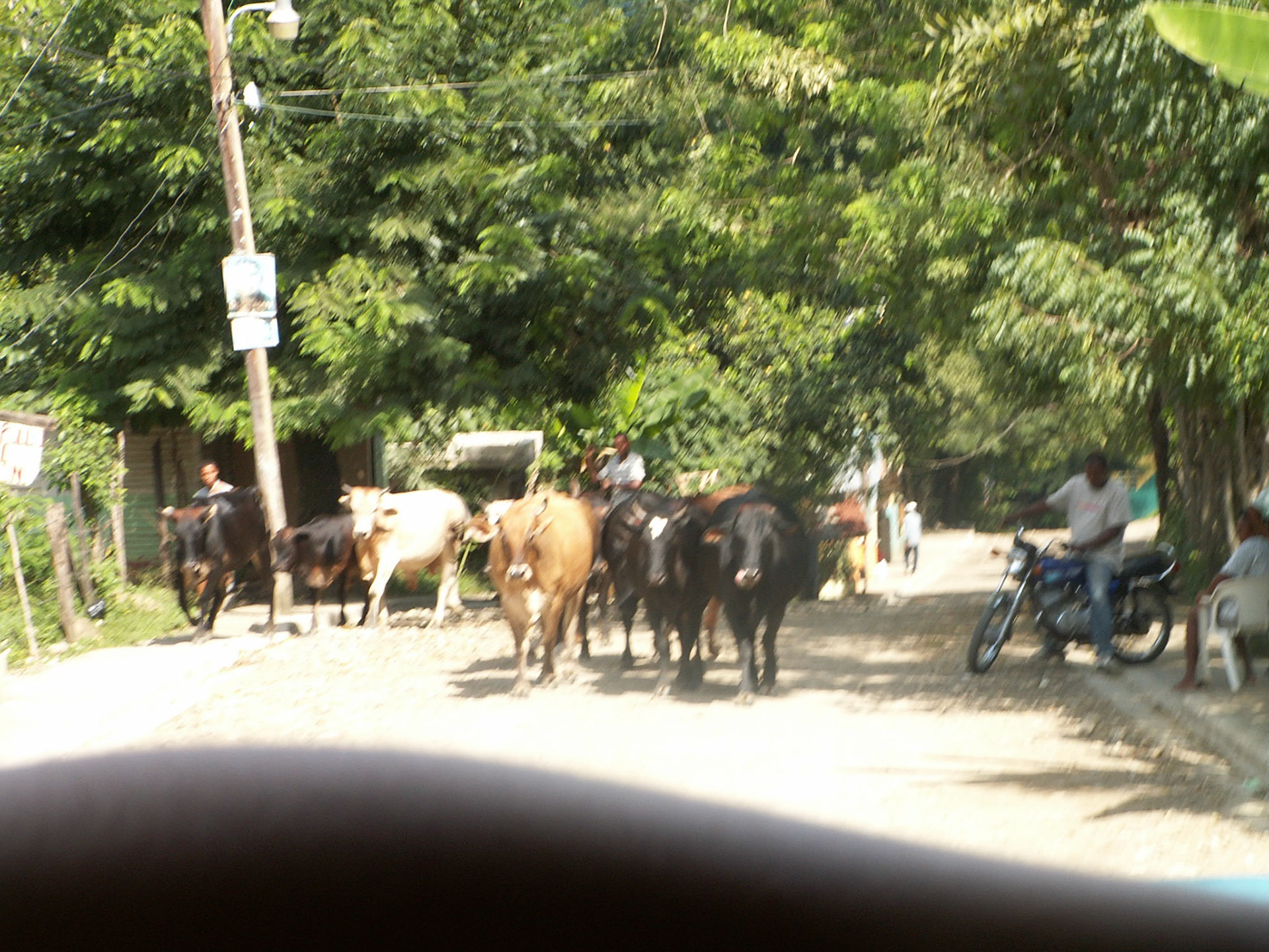 KONICA MINOLTA DIGITAL CAMERA