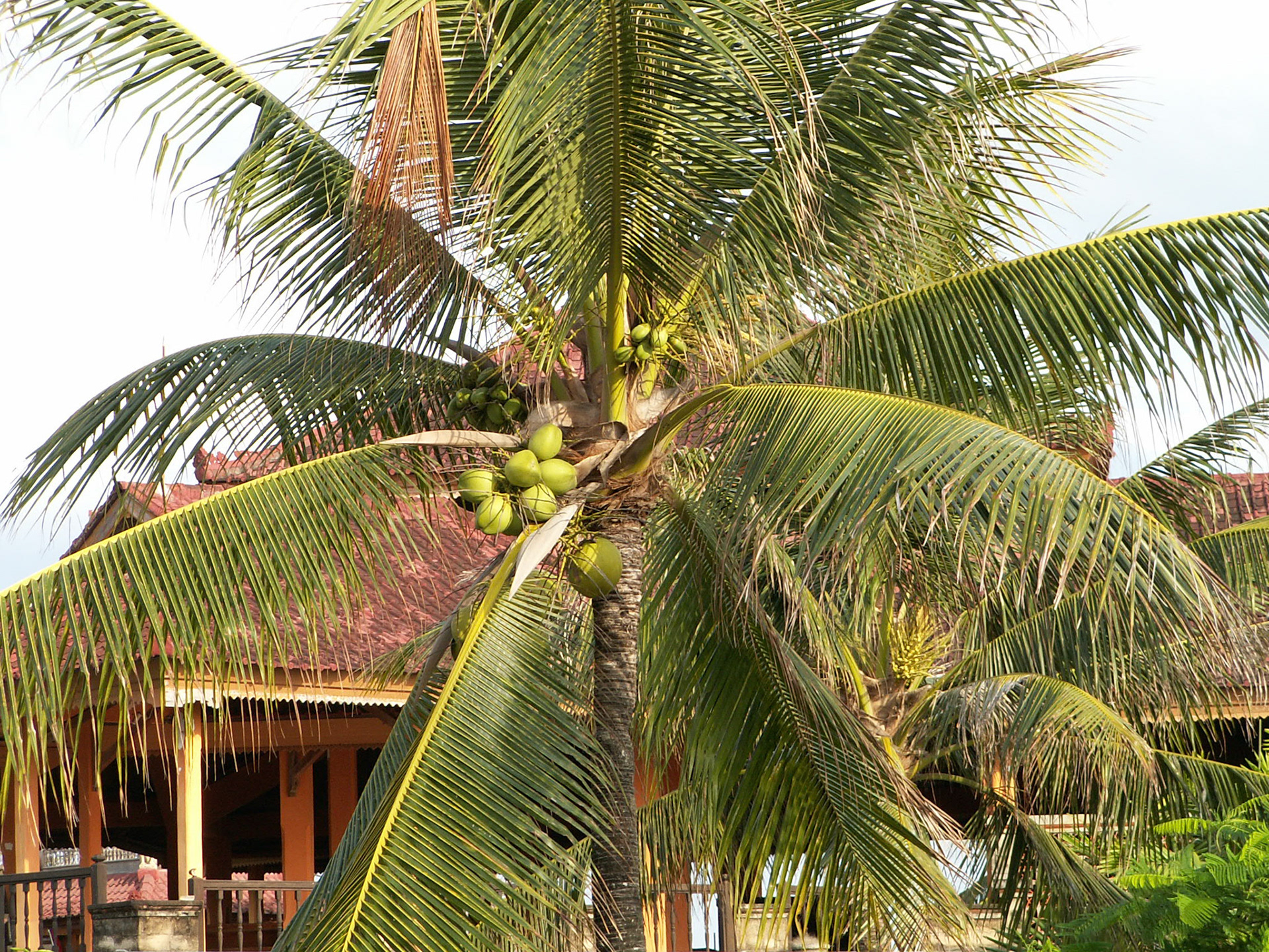 KONICA MINOLTA DIGITAL CAMERA