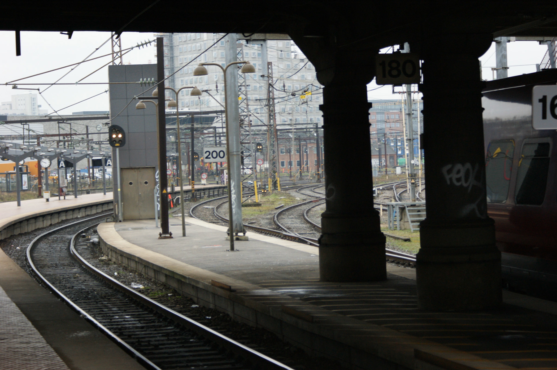 SONY DSC