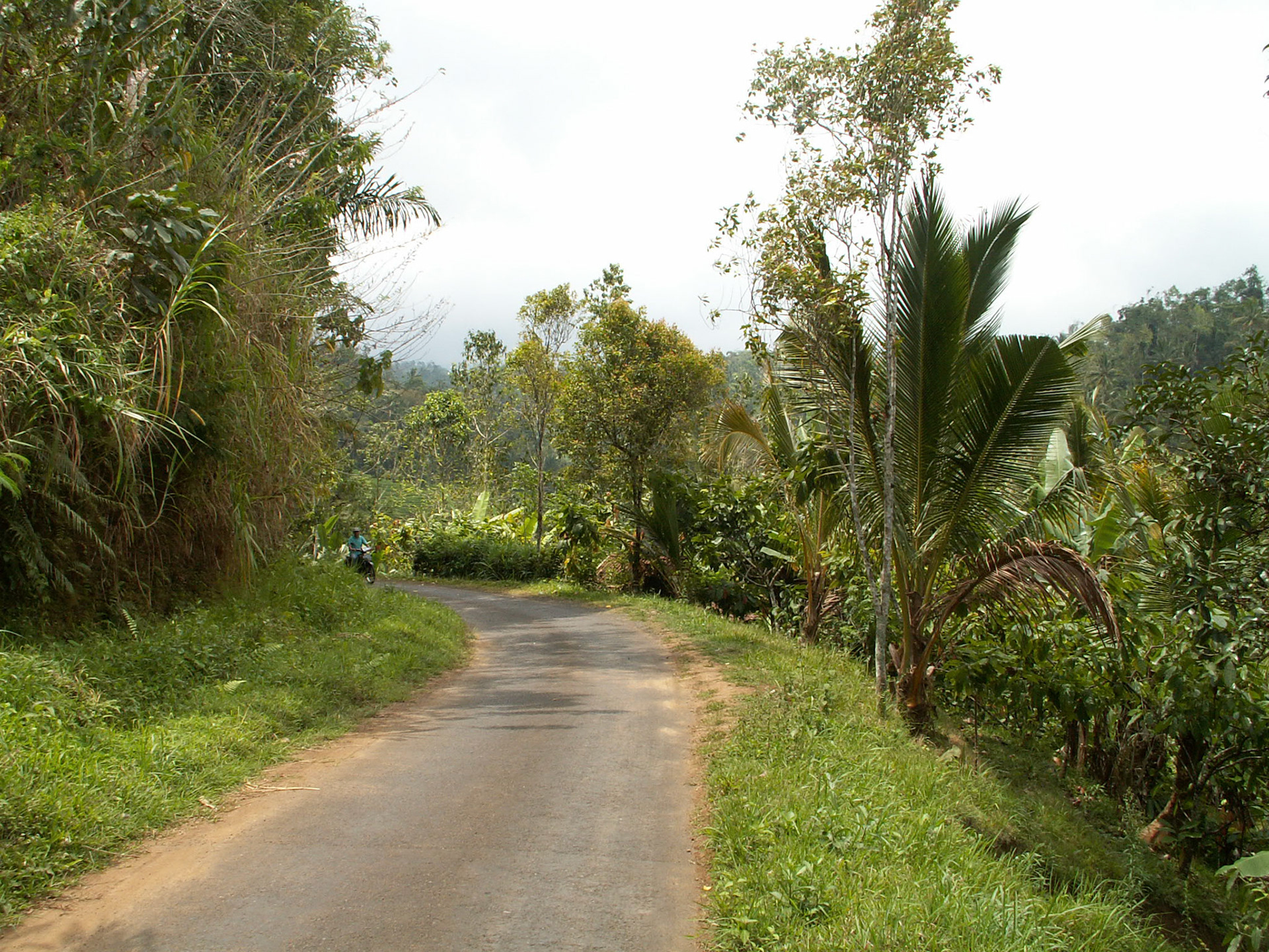 KONICA MINOLTA DIGITAL CAMERA