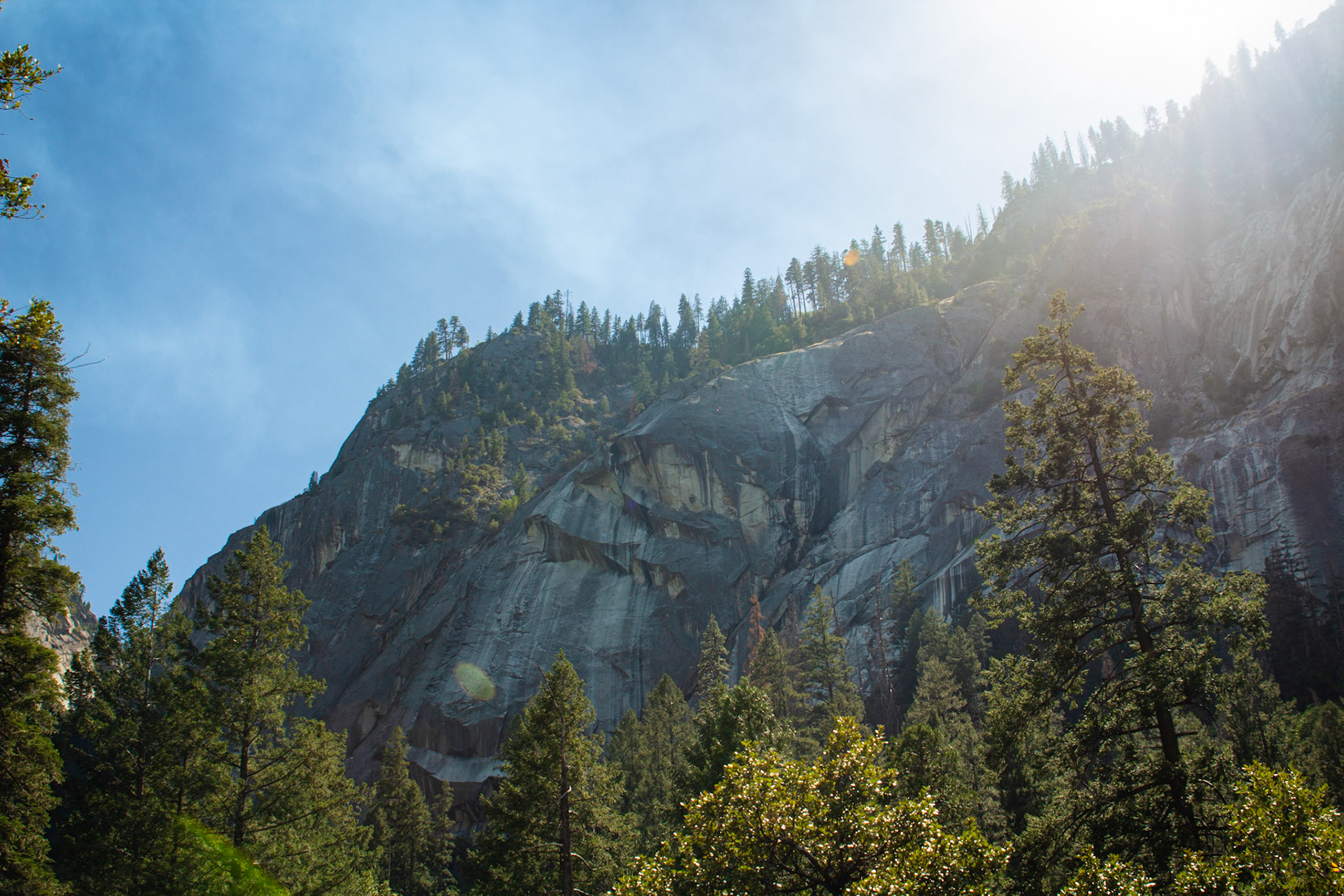 Looking up from the Mist Trail