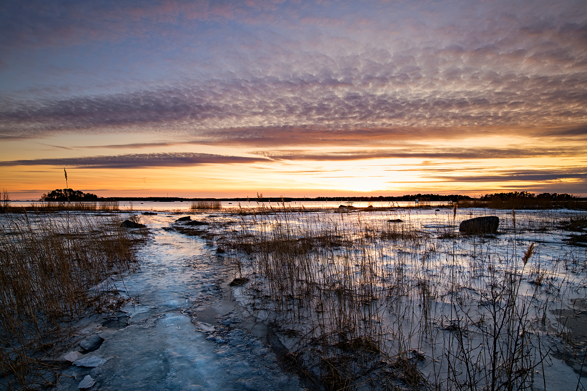 fotografia di paesaggio e viaggio - finlandia in inverno al tramonto - la palude ghiacciata - daniele scalera fotogrsfo