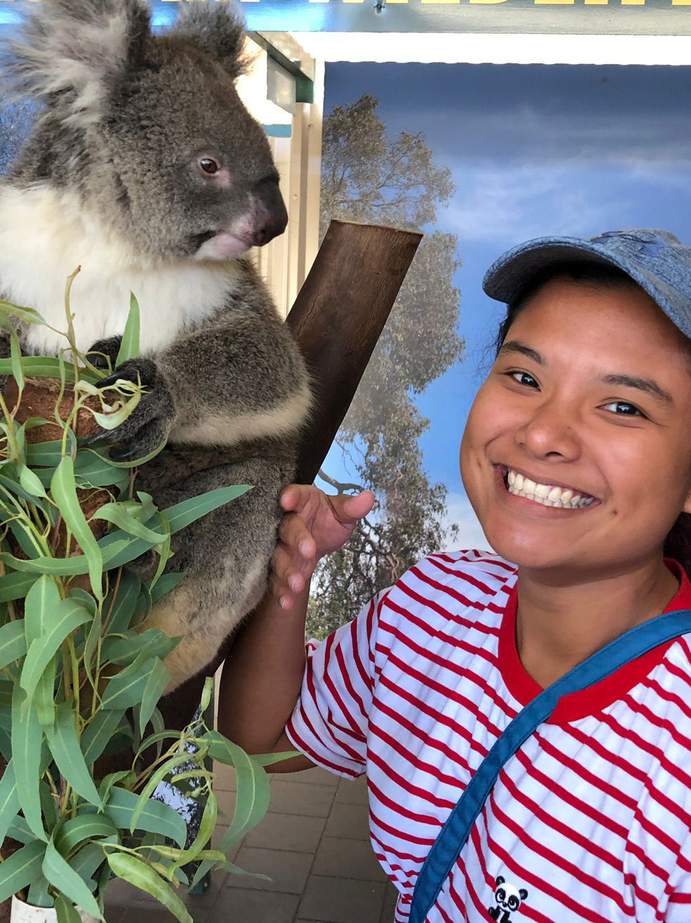 The Body Mechanics Megan John