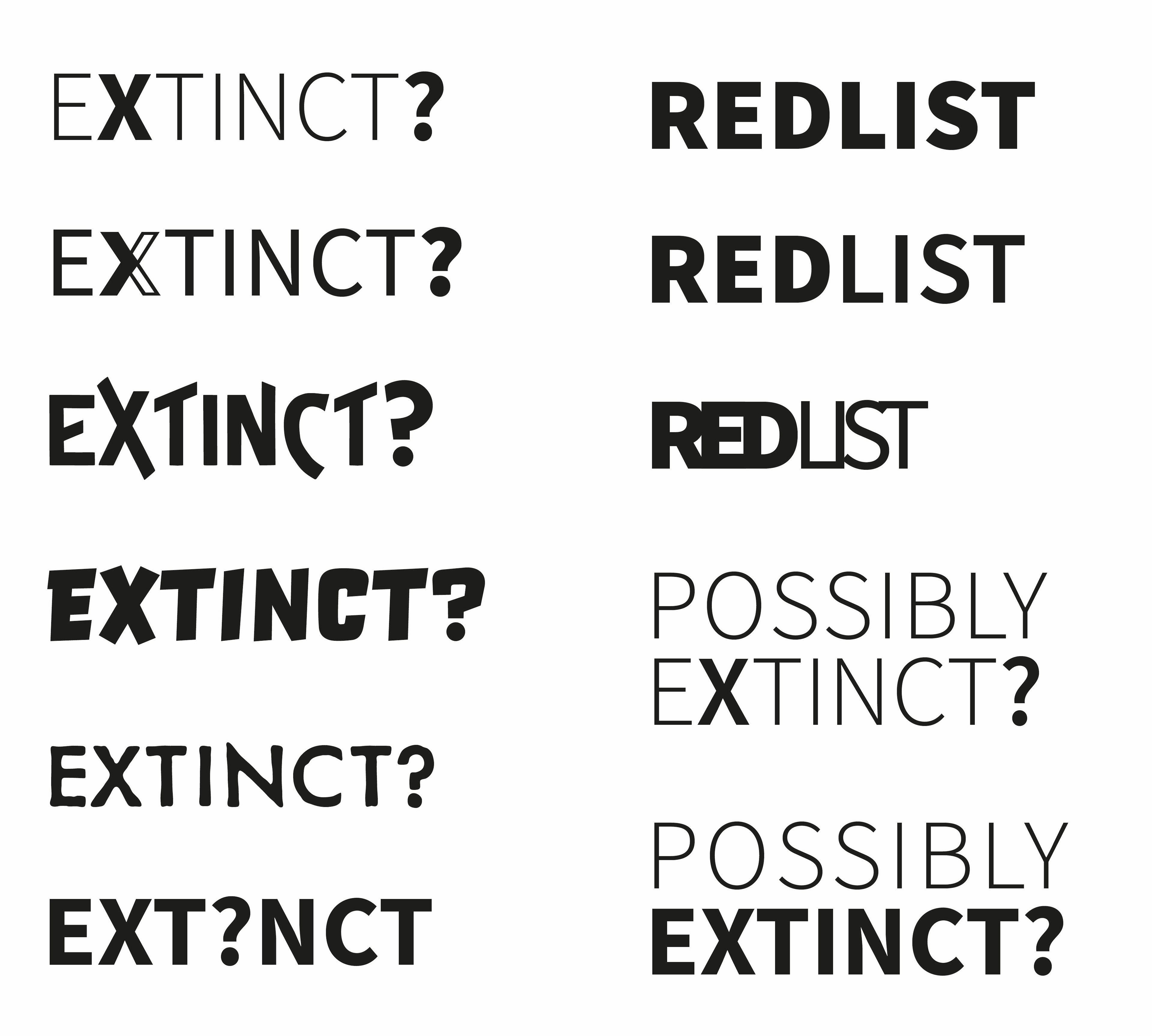 Initial name concepts and basic design