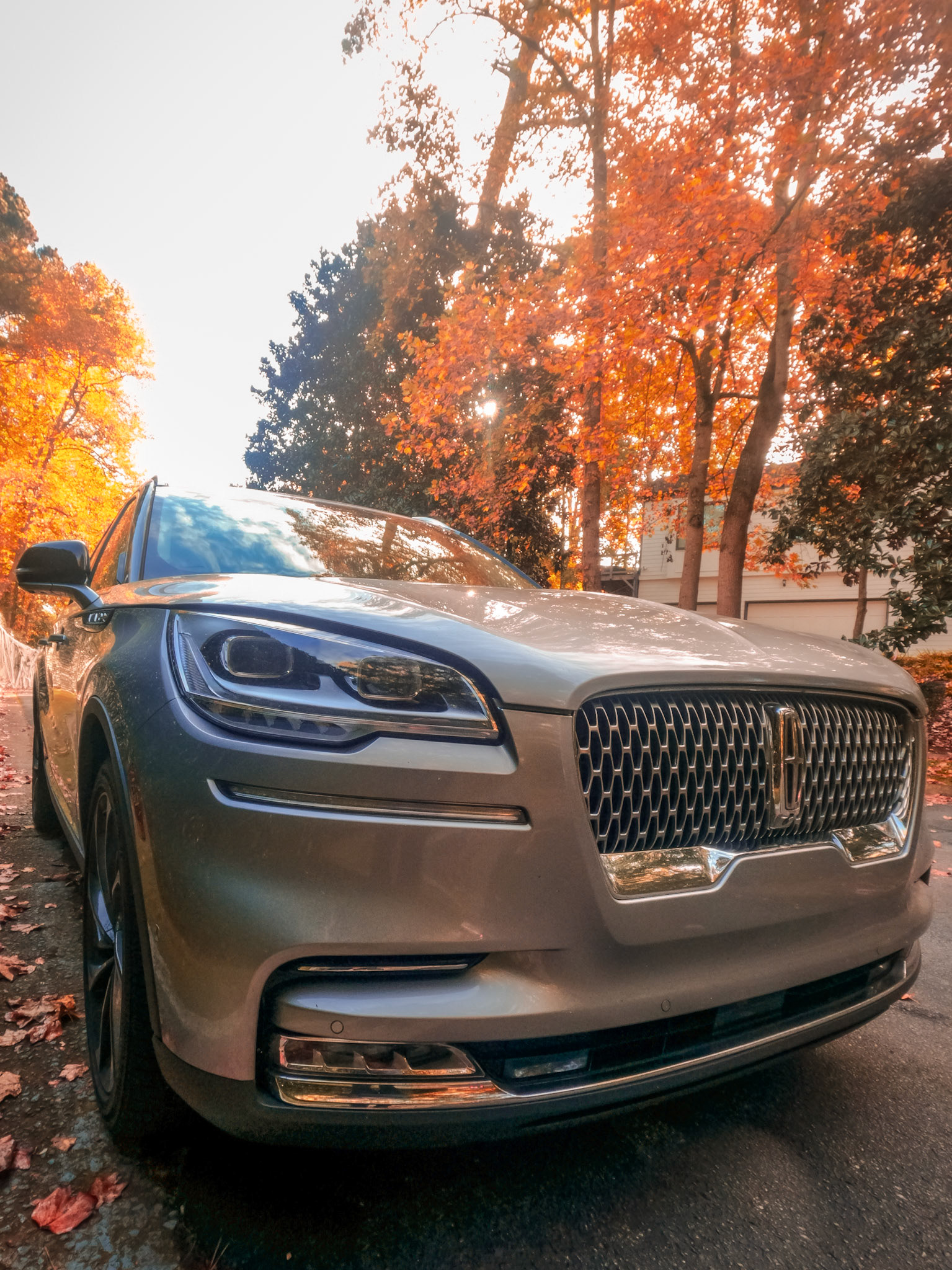 Fall Time In The Aviator