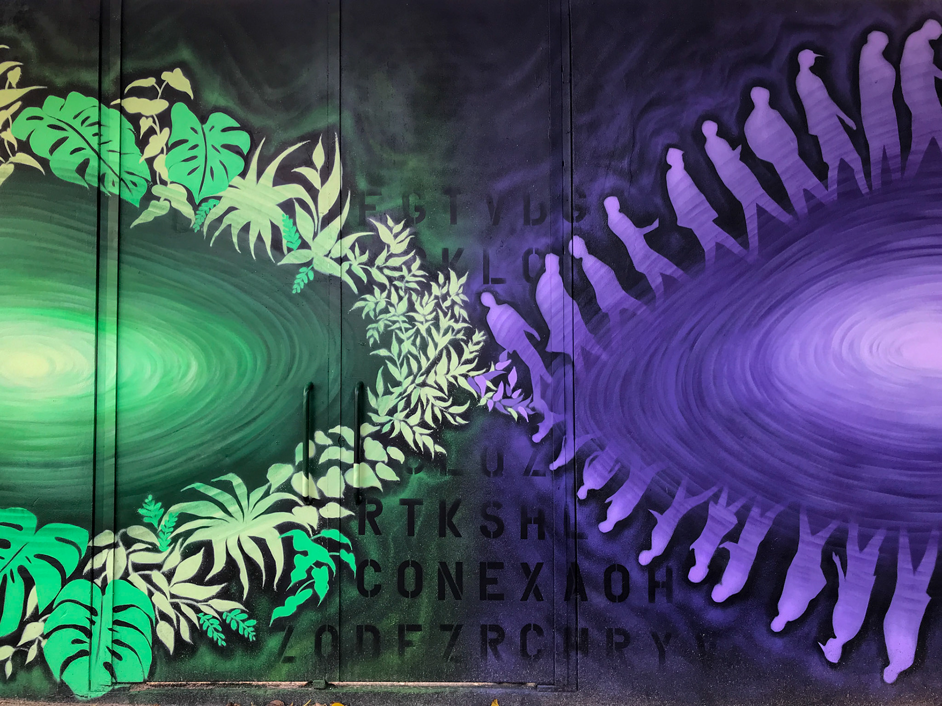 FlashWall - Senhora da Hora