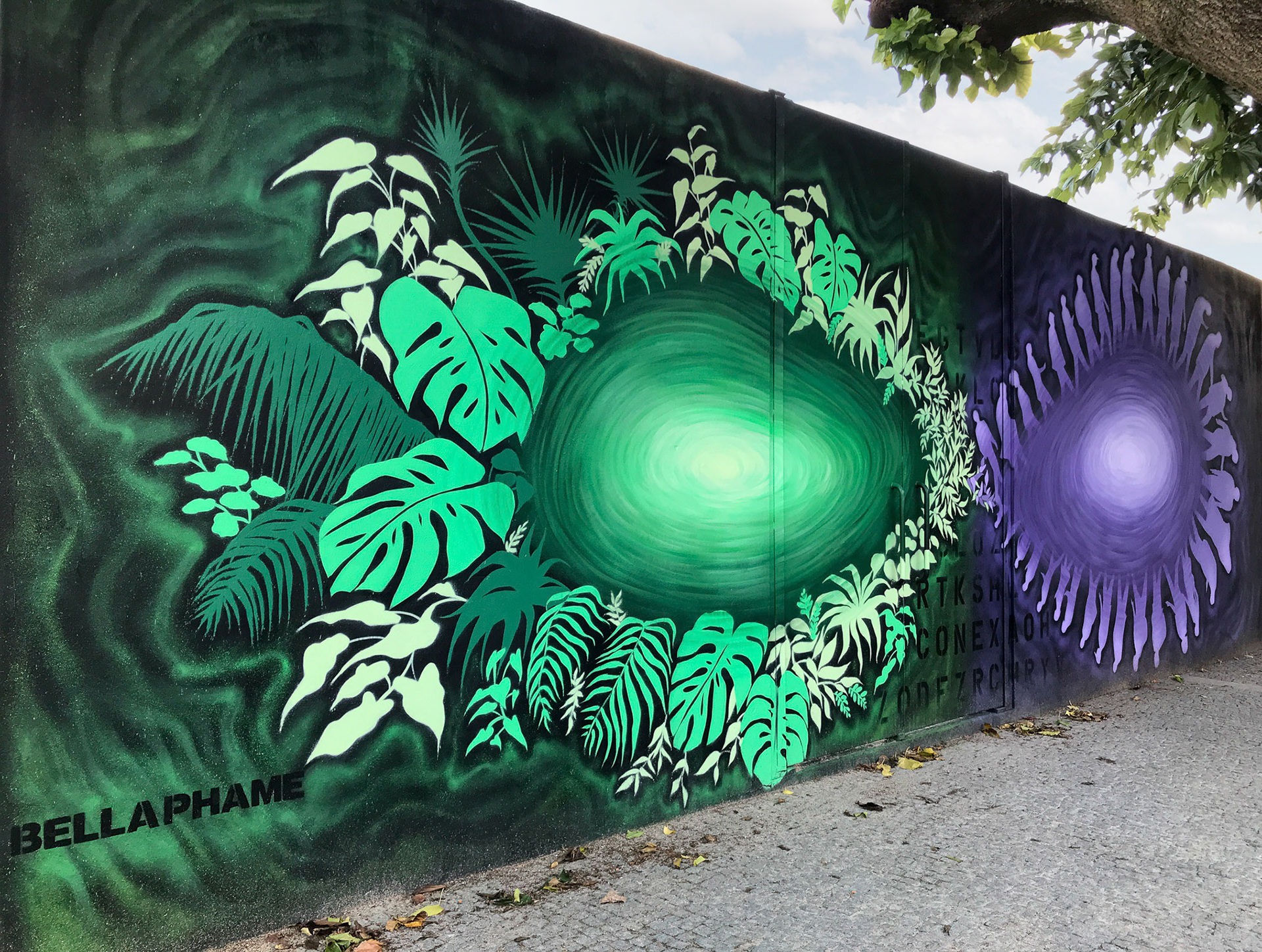 FlashWall - Senhora da Hora