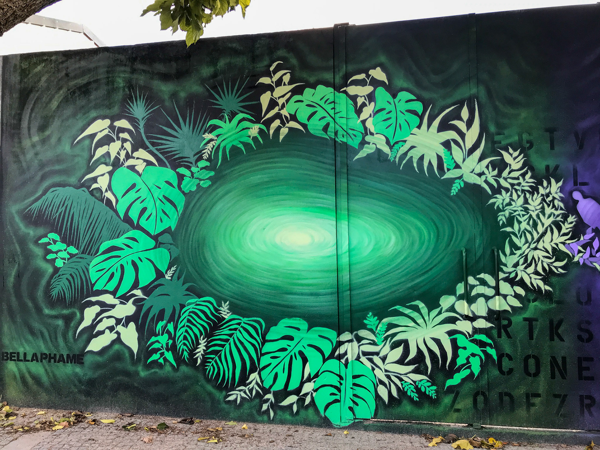FlashWall - Senhora da Hora