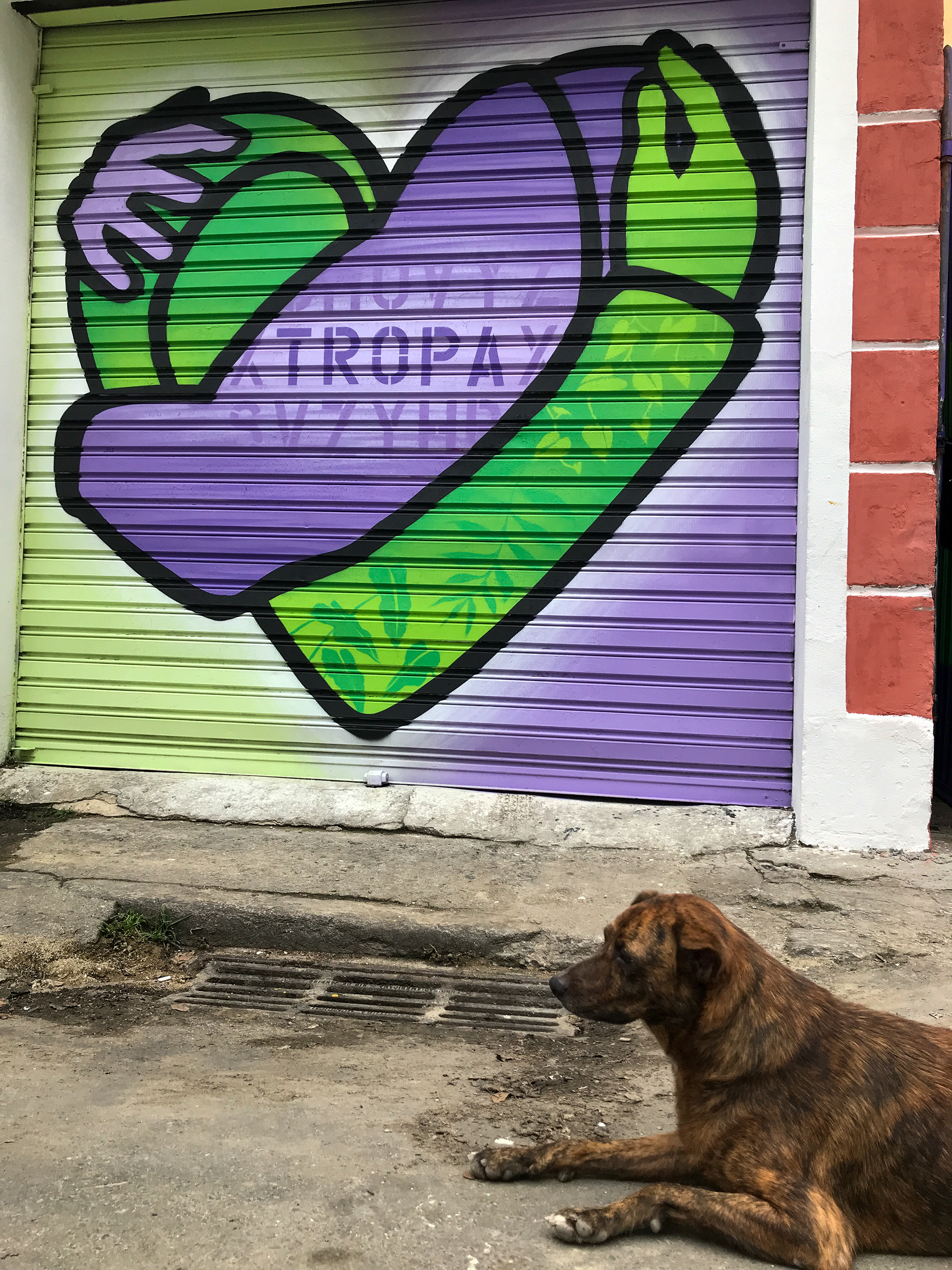 Beco Verde - Lapa, Rio de Janeiro