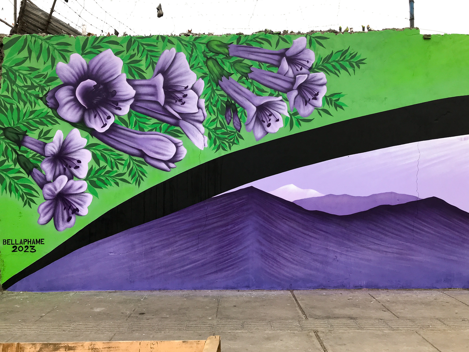 Picante Festival 2023