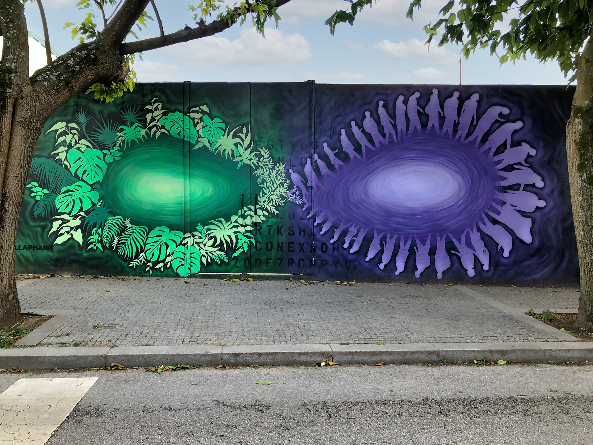 FlashWall - Senhora da Hora