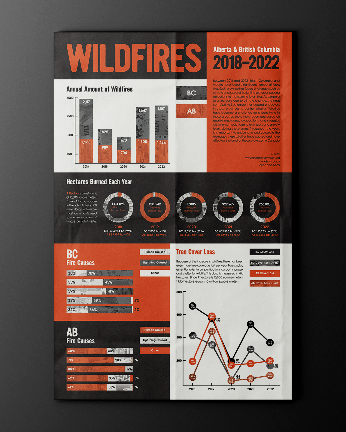 Wildfire Infographic