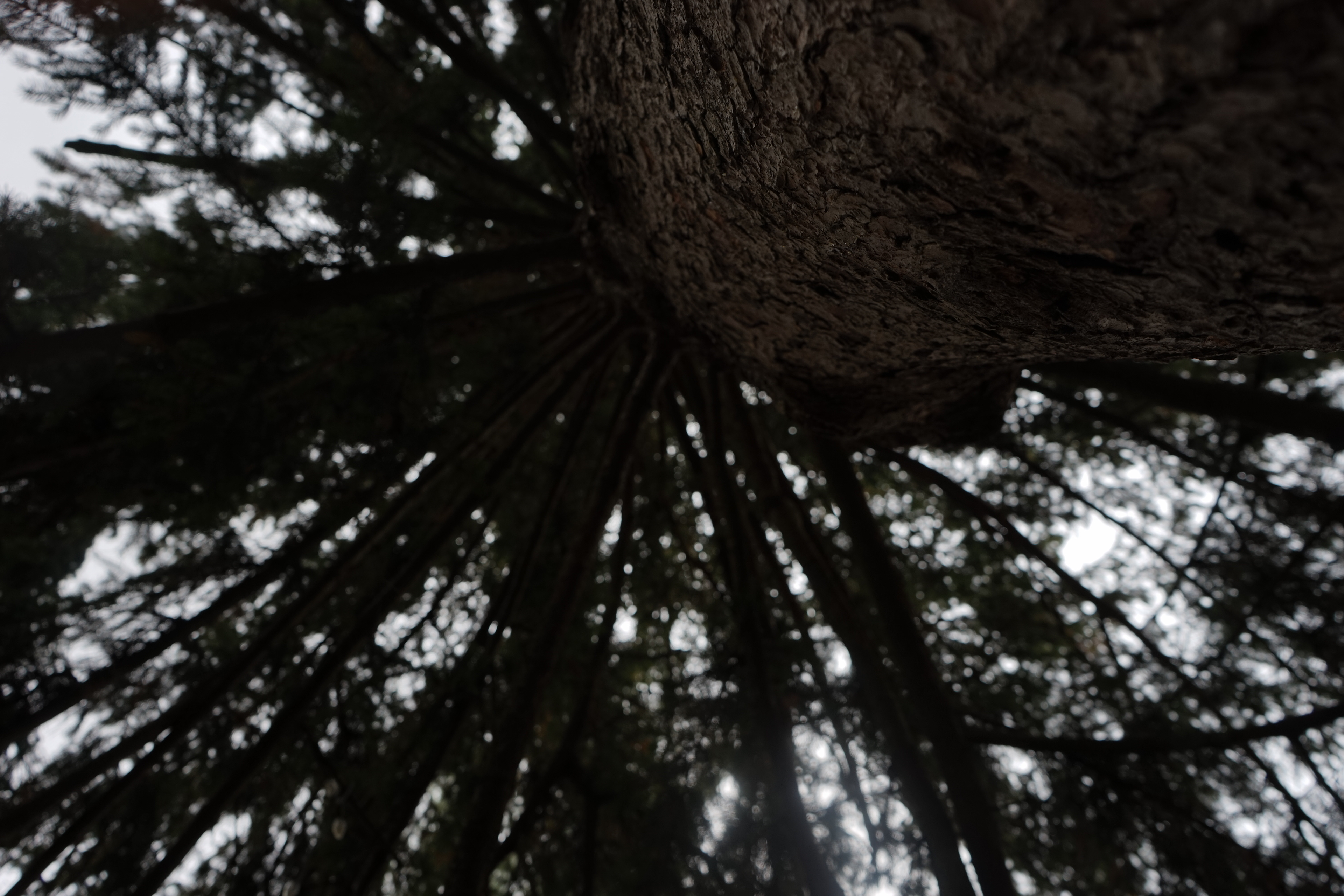 gloomy days - vol. 1