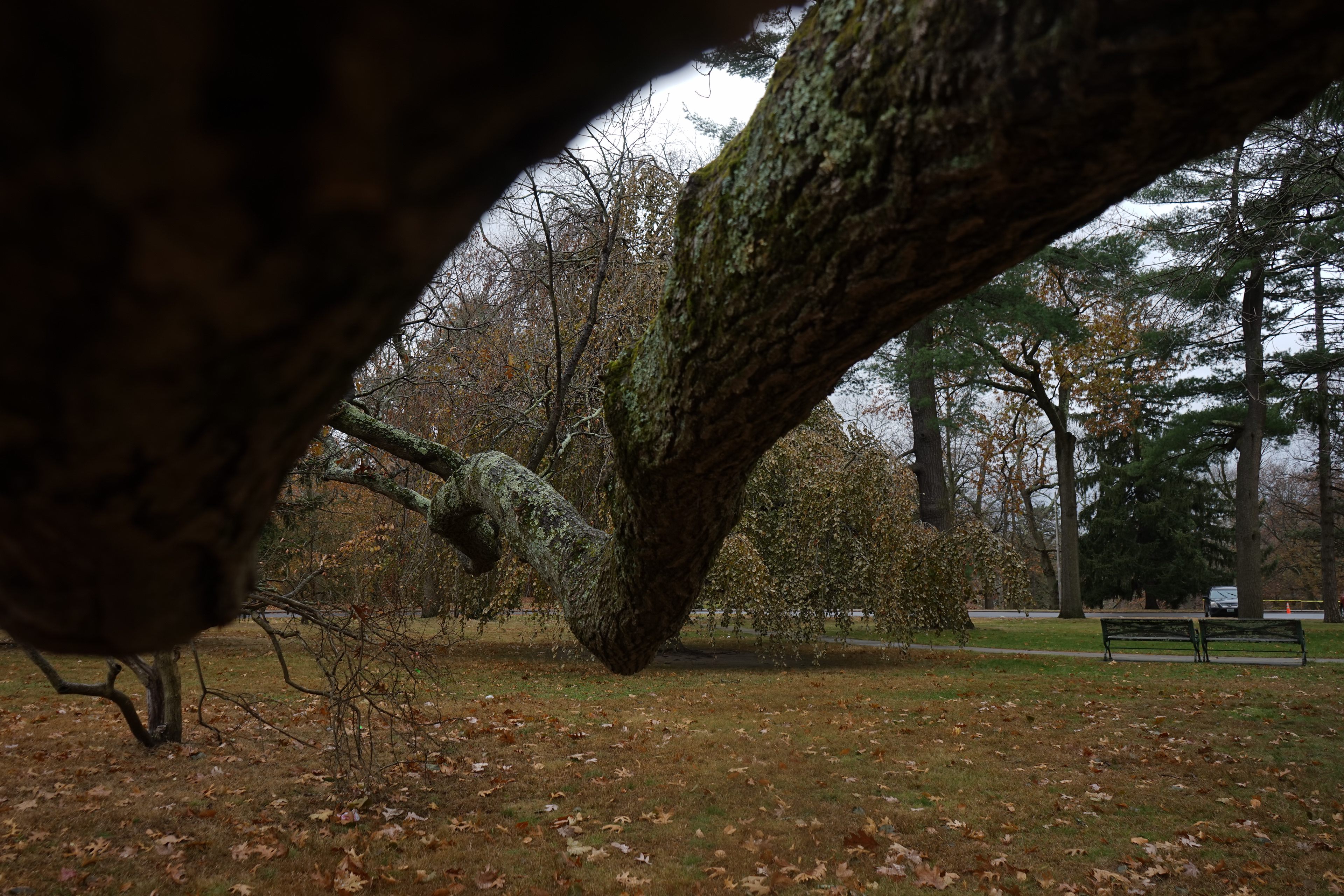 gloomy days - vol. 1