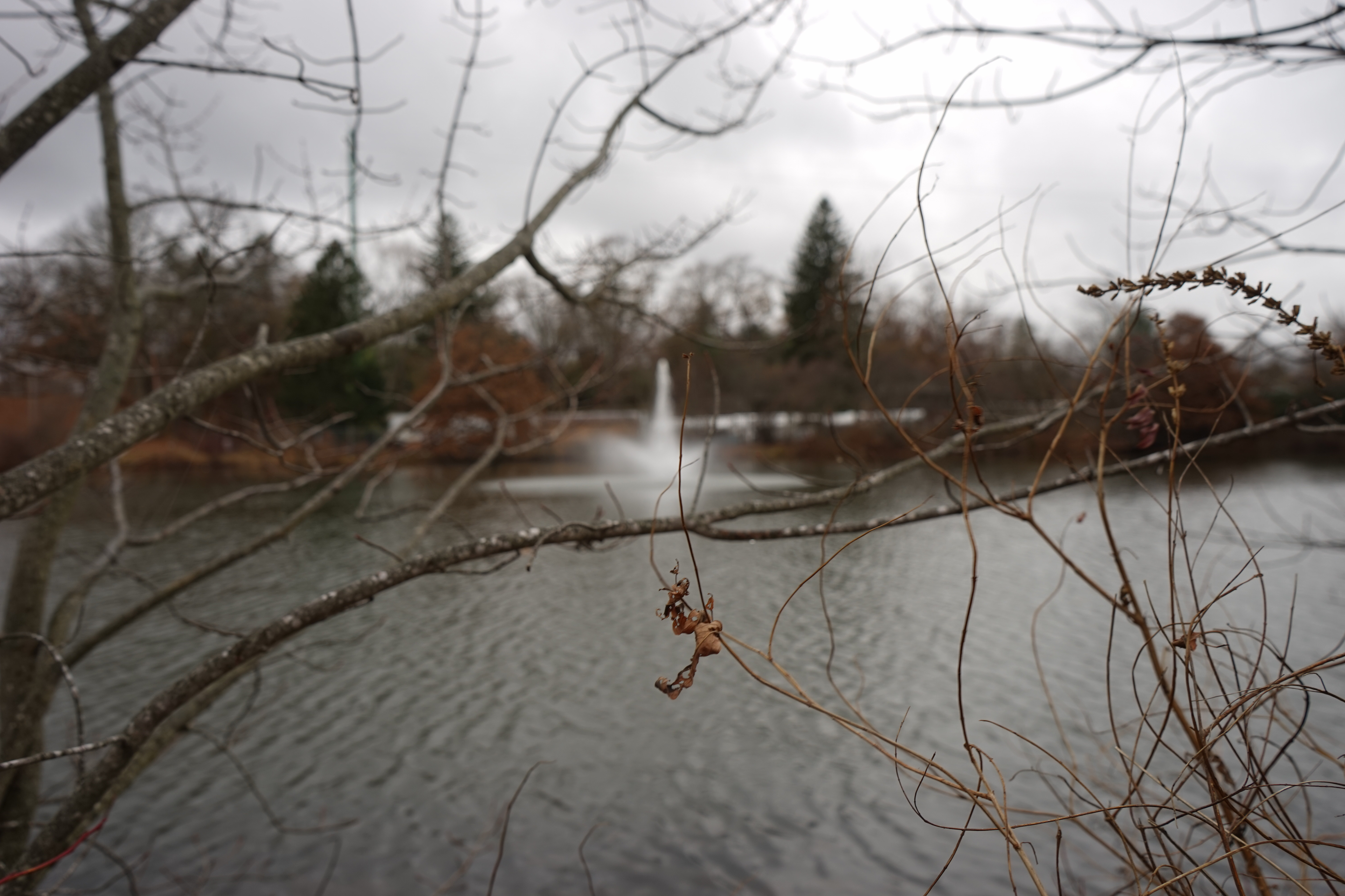 gloomy days - vol. 1