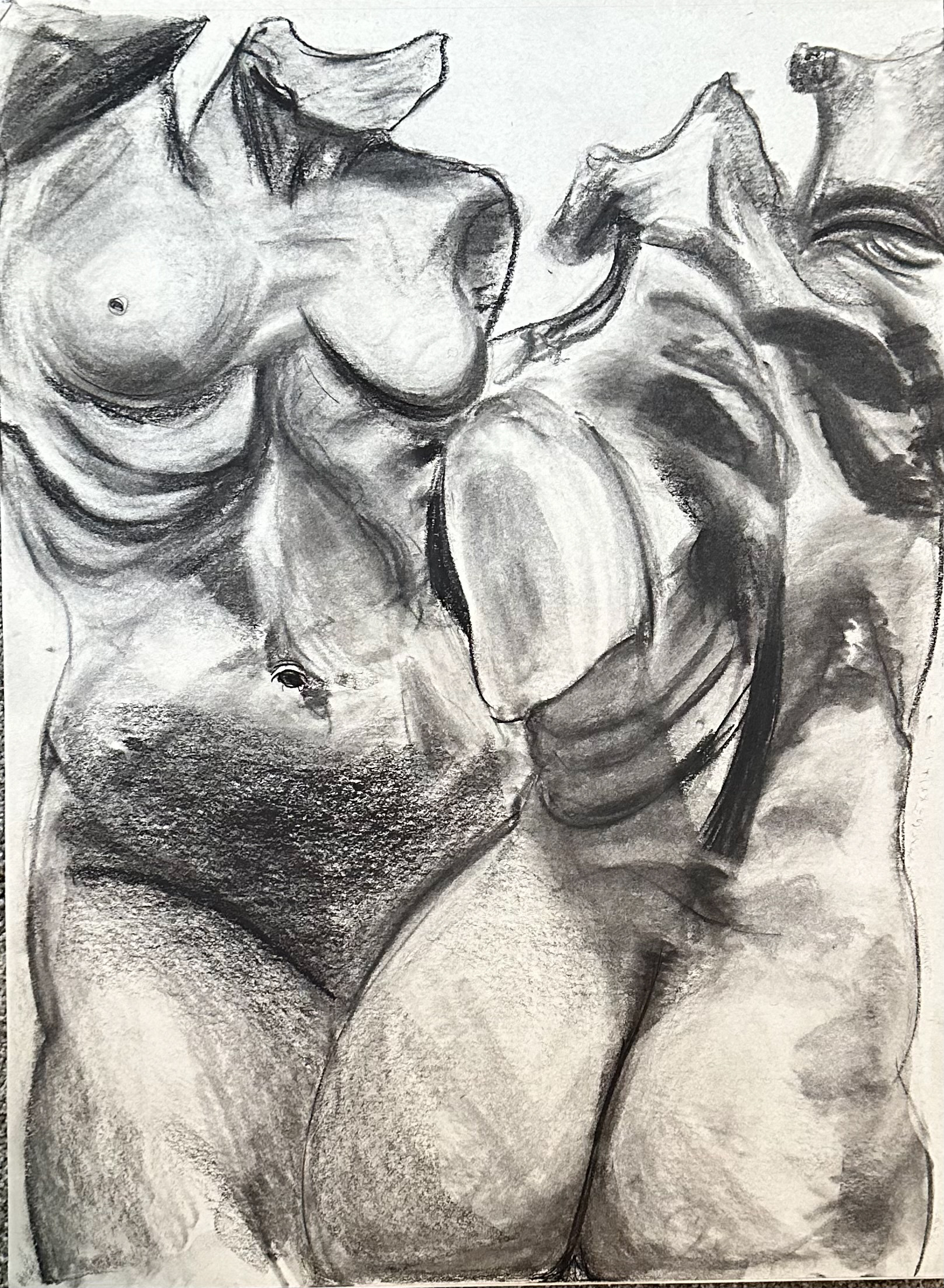Female Torso Study #1, 2023, Charcoal on gray paper, 18"x 24".