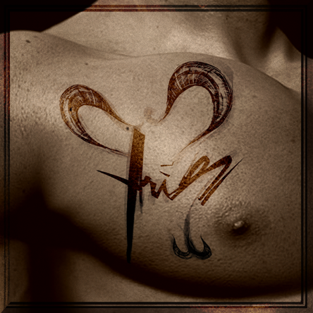 ARIES ♈︎ FIRE ZODIAC SIGN