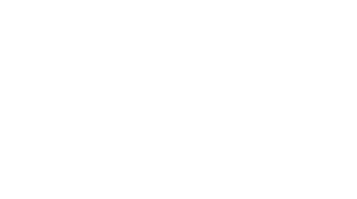 Laura Tjho