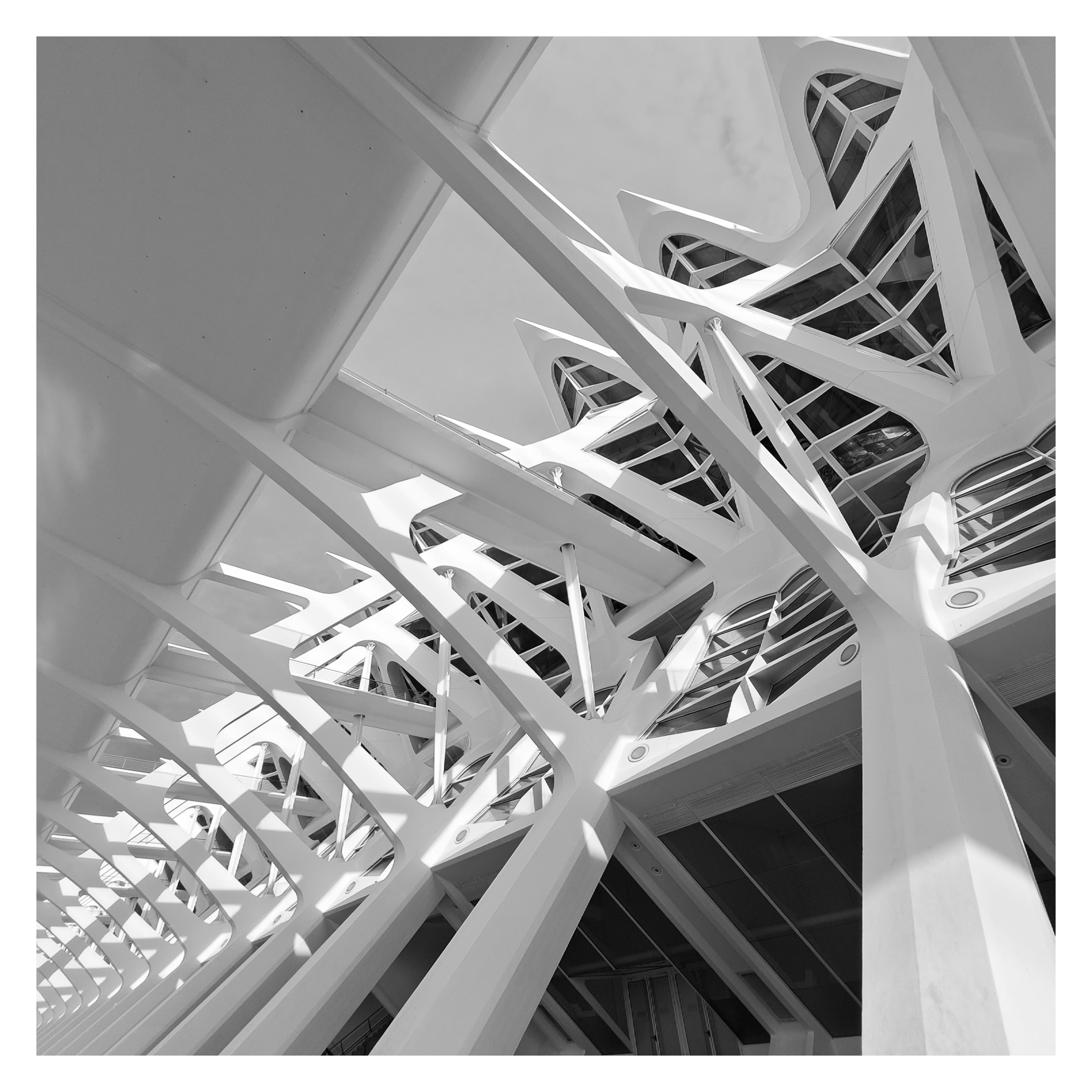 V23 | Museu de les Ciencias Principe Felipe | The repetition of dynamic structural elements in this design, creates an abstract aesthetic that compliments the museum's futuristic atmosphere.