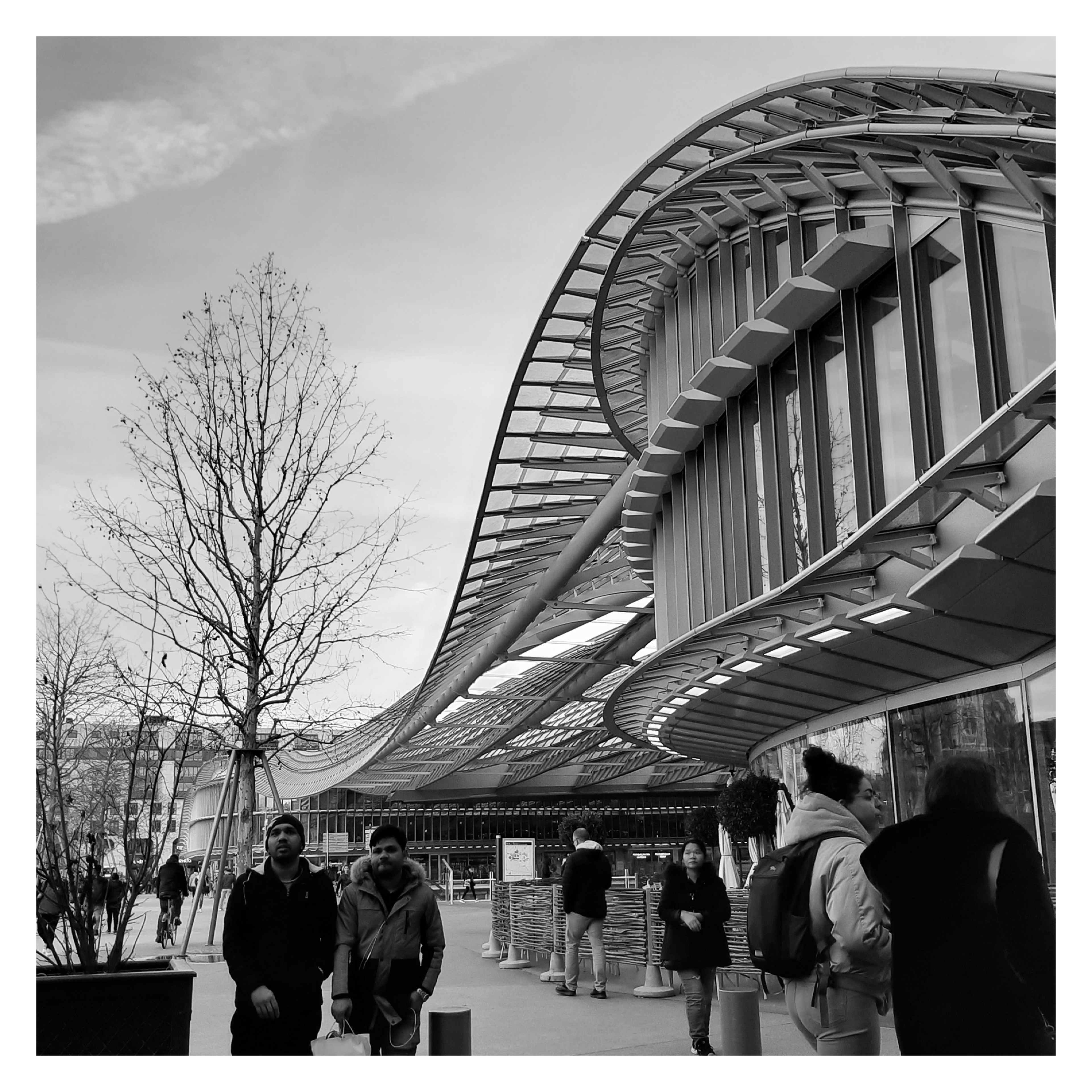 P20 | Westfield Forum des Halles | The fluid, skeletal curves of this modular structure create a harmonious blend of indoor and outdoor spaces. The undulating gills in the roof framework give an impression of movement and lightness.